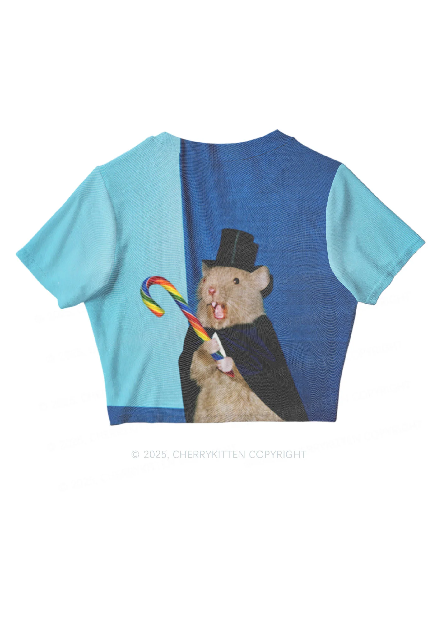 Gentleman Ratz Y2K Mesh Crop Top Cherrykitten - Image 3