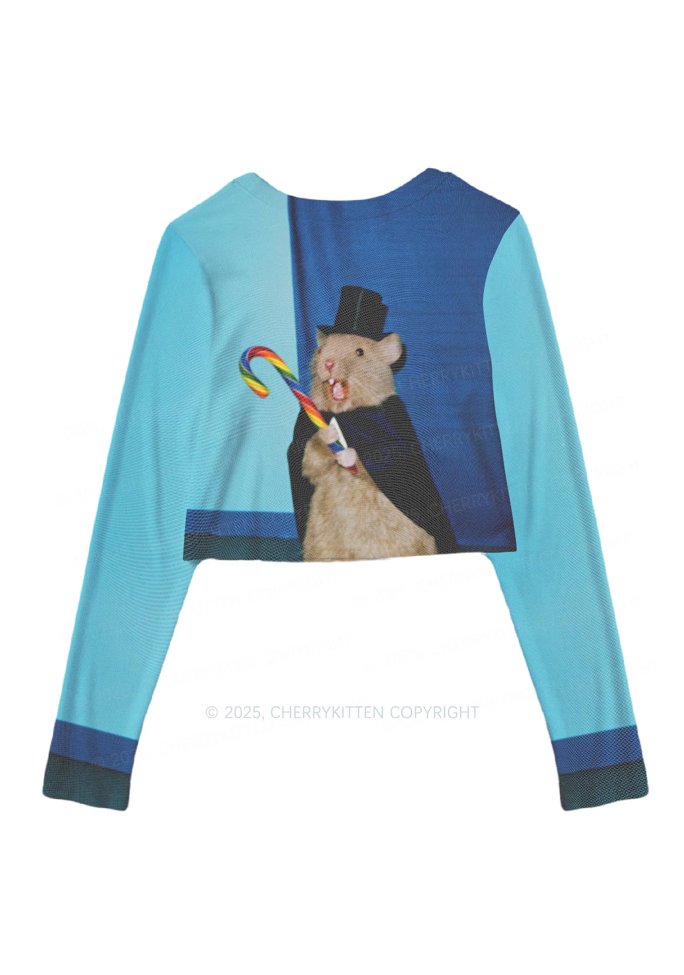 Gentleman Ratz Y2K Mesh Long Sleeve Crop Top Cherrykitten - Image 3