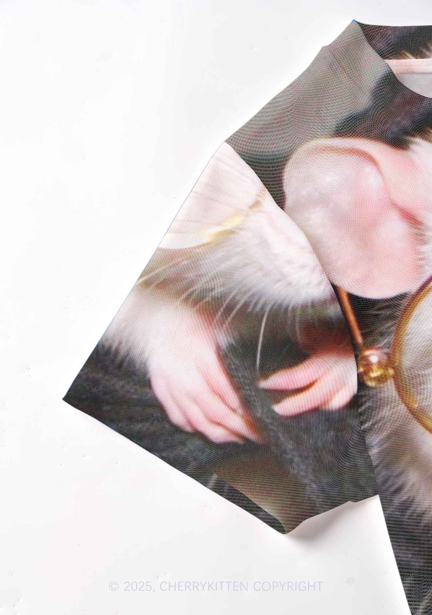 Glasses Rat Y2K Mesh Crop Top Cherrykitten - Image 4