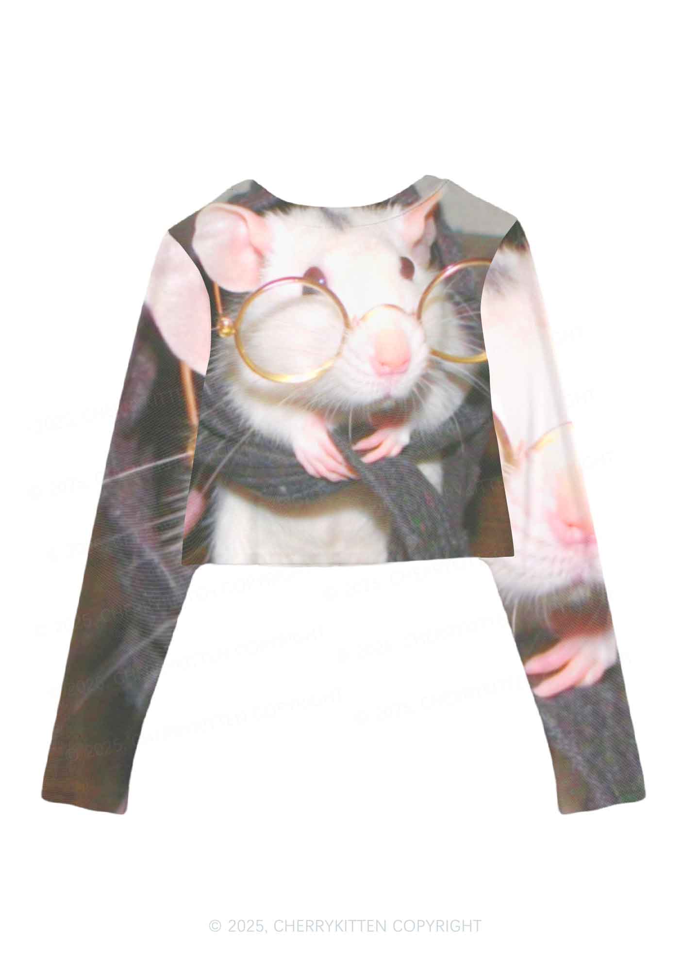 Glasses Rat Y2K Mesh Long Sleeve Crop Top Cherrykitten - Image 3