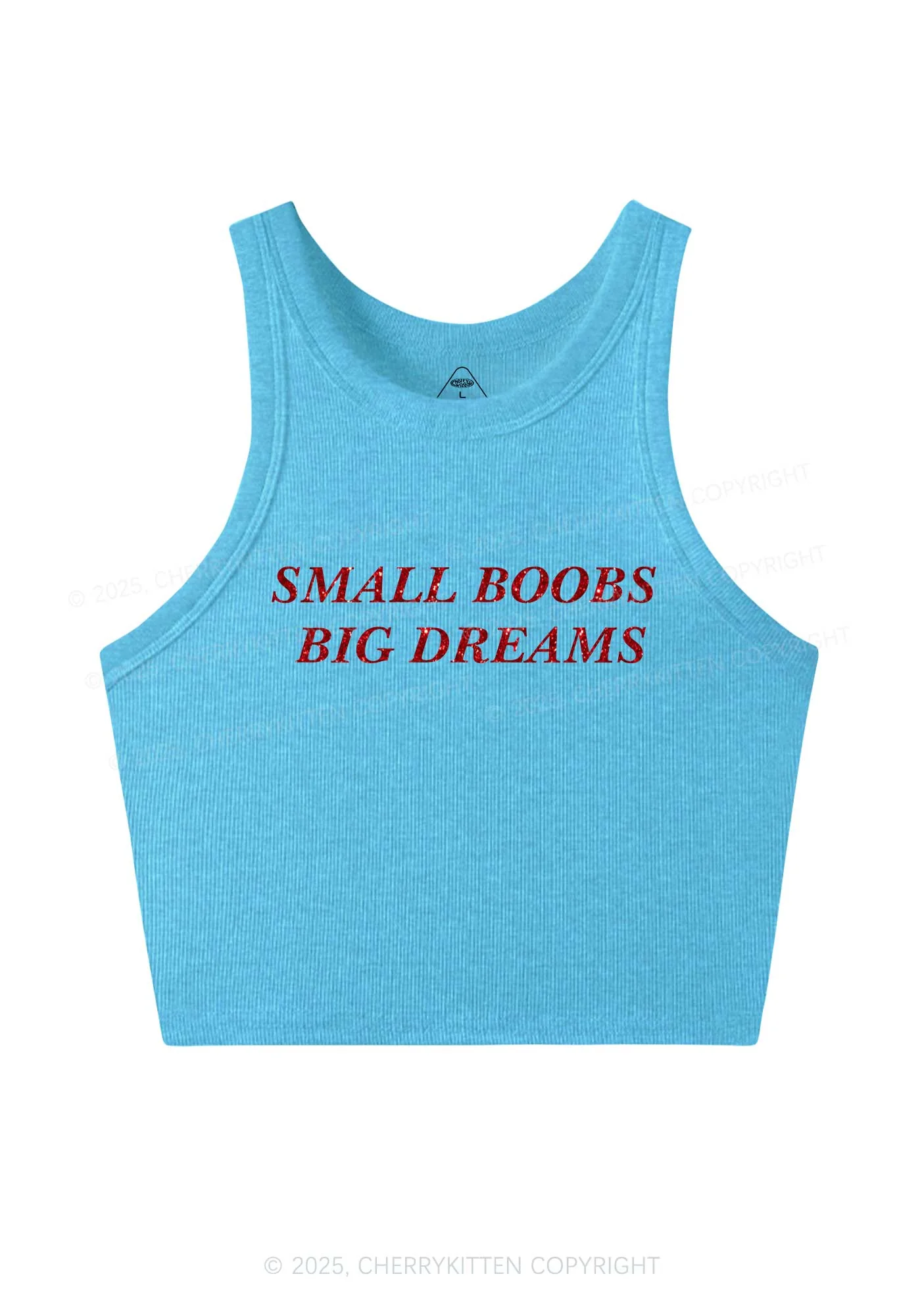 Glitter Small But Big Dreams Y2K Crop Tank Top Cherrykitten - Image 6