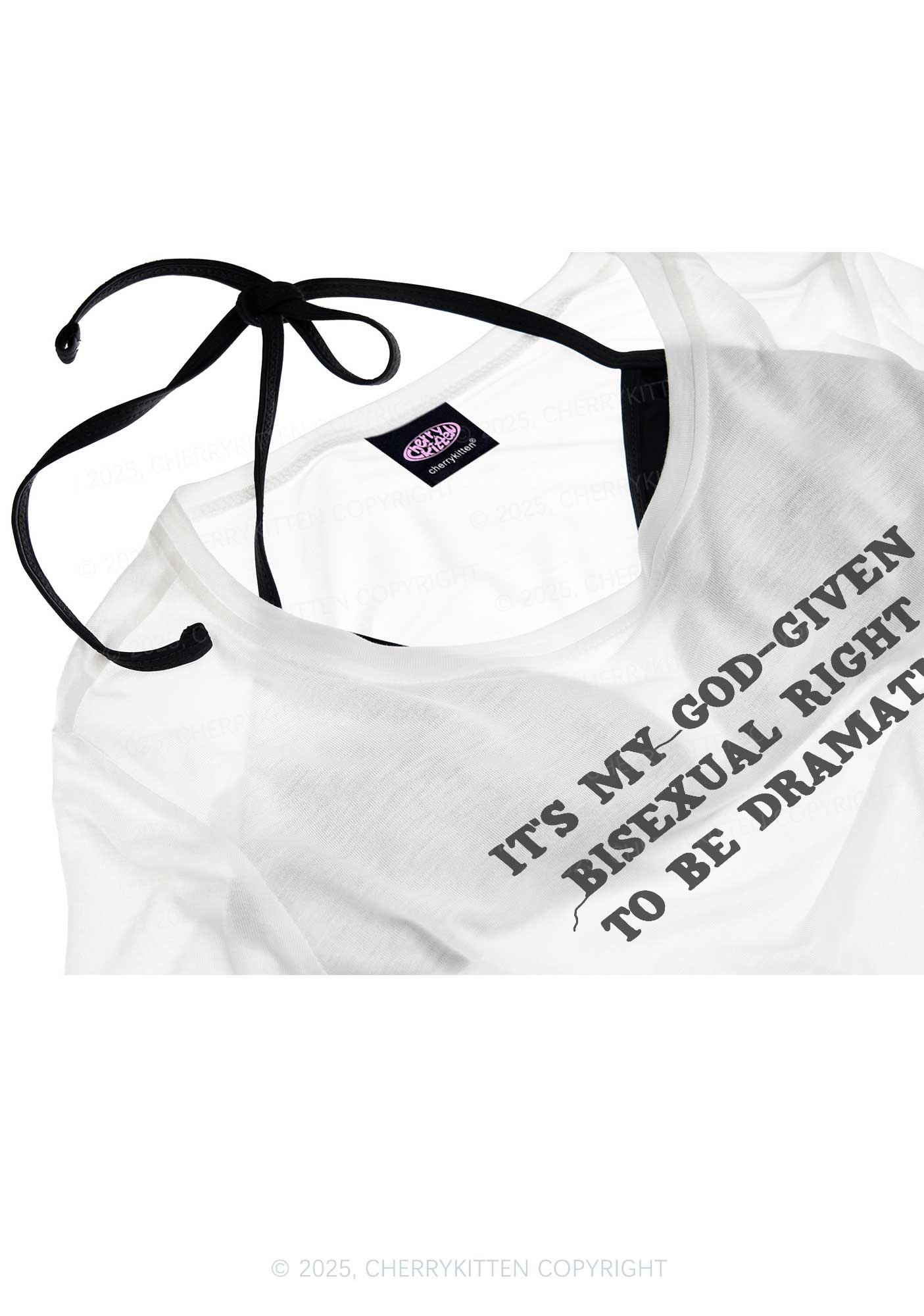 God Given Bisexual Right Pride Y2K Sheer Crop Tee Cherrykitten - Image 4