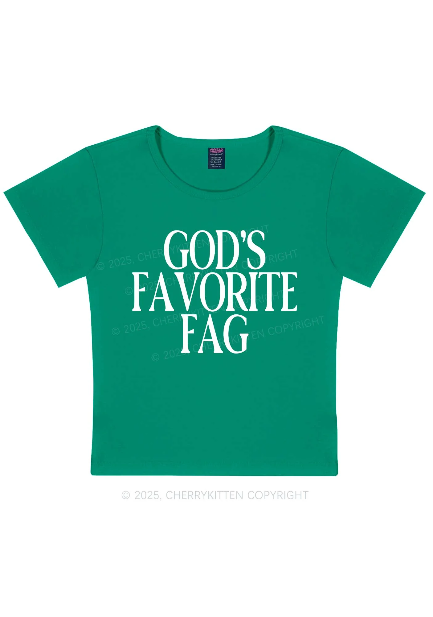 Gods Favorite Fag Pride Y2K Baby Tee Cherrykitten - Image 11