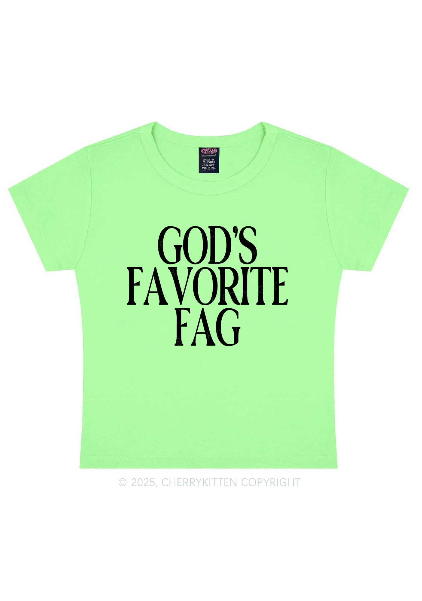 Gods Favorite Fag Pride Y2K Baby Tee Cherrykitten - Image 13