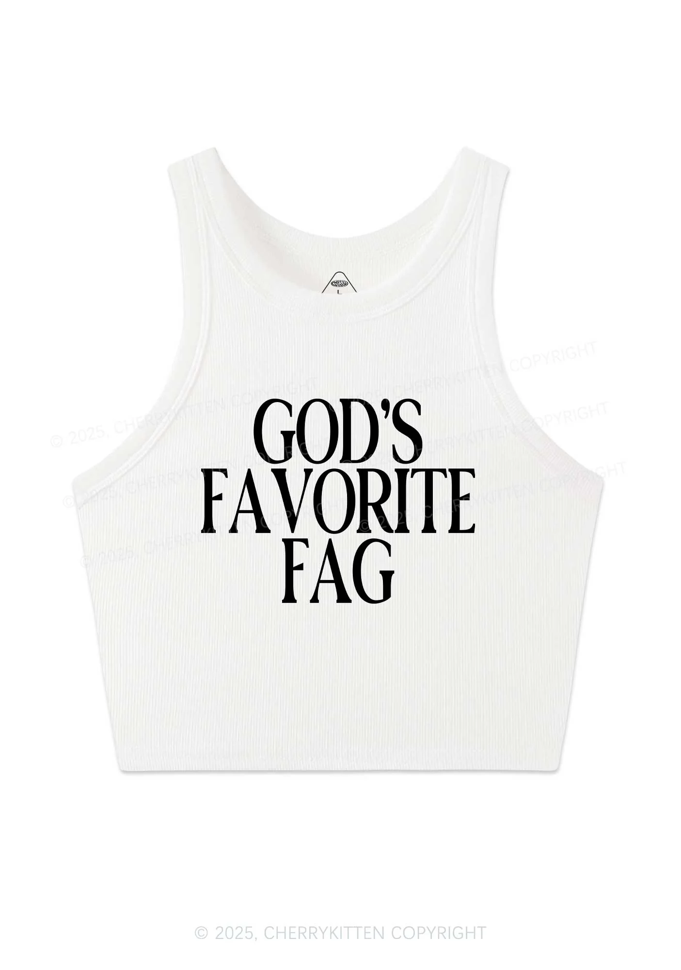 Gods Favorite Fag Pride Y2K Crop Tank Top Cherrykitten - Image 3
