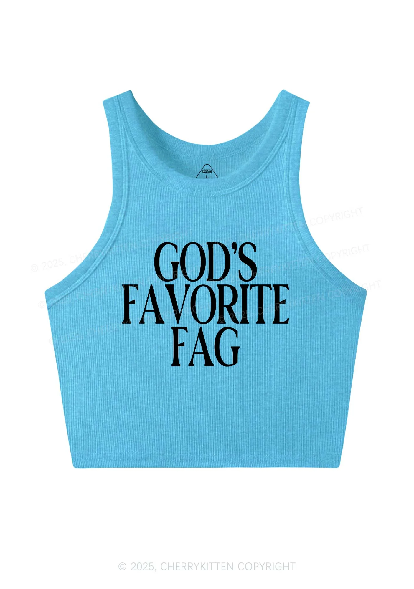 Gods Favorite Fag Pride Y2K Crop Tank Top Cherrykitten - Image 4
