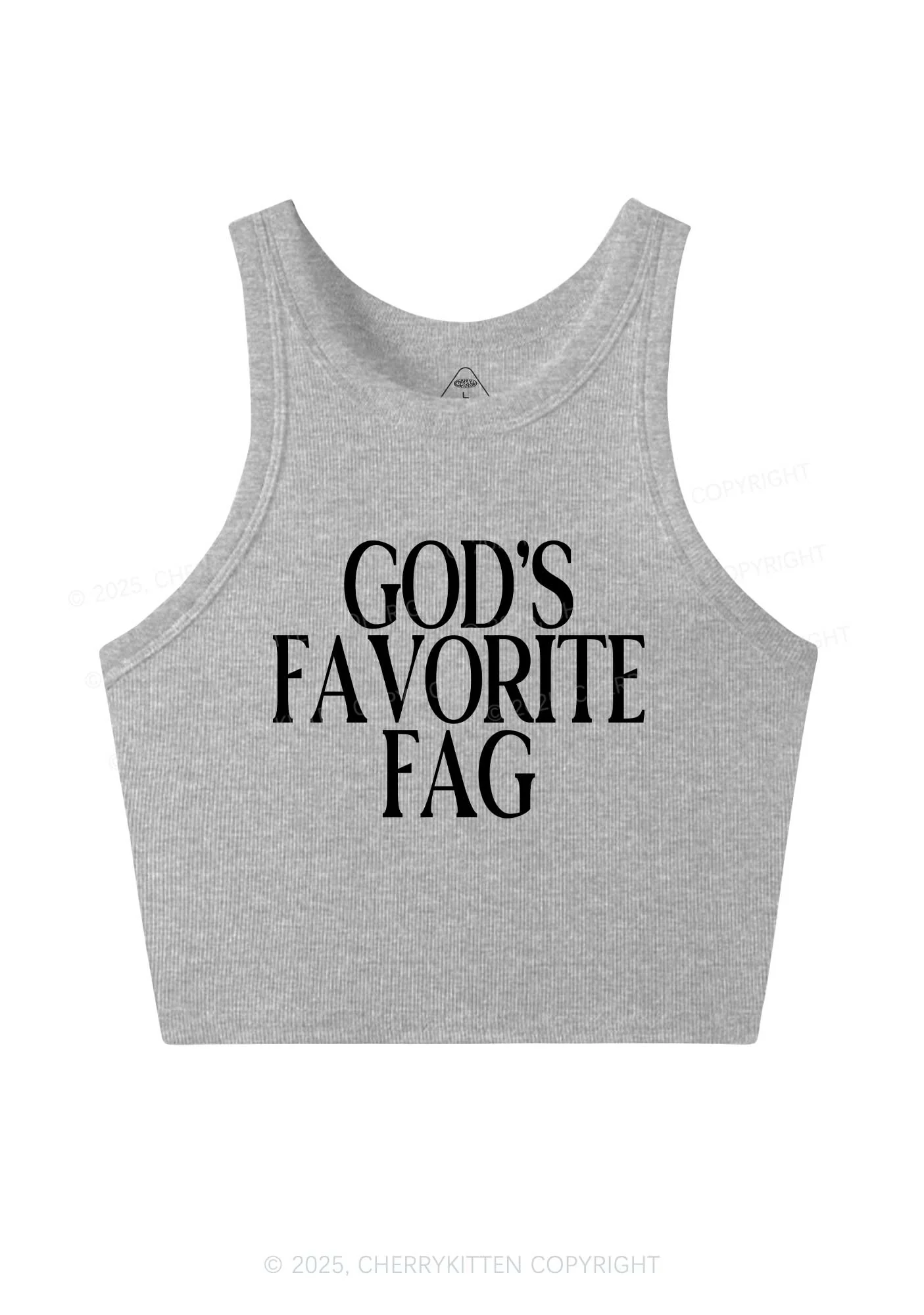Gods Favorite Fag Pride Y2K Crop Tank Top Cherrykitten - Image 5