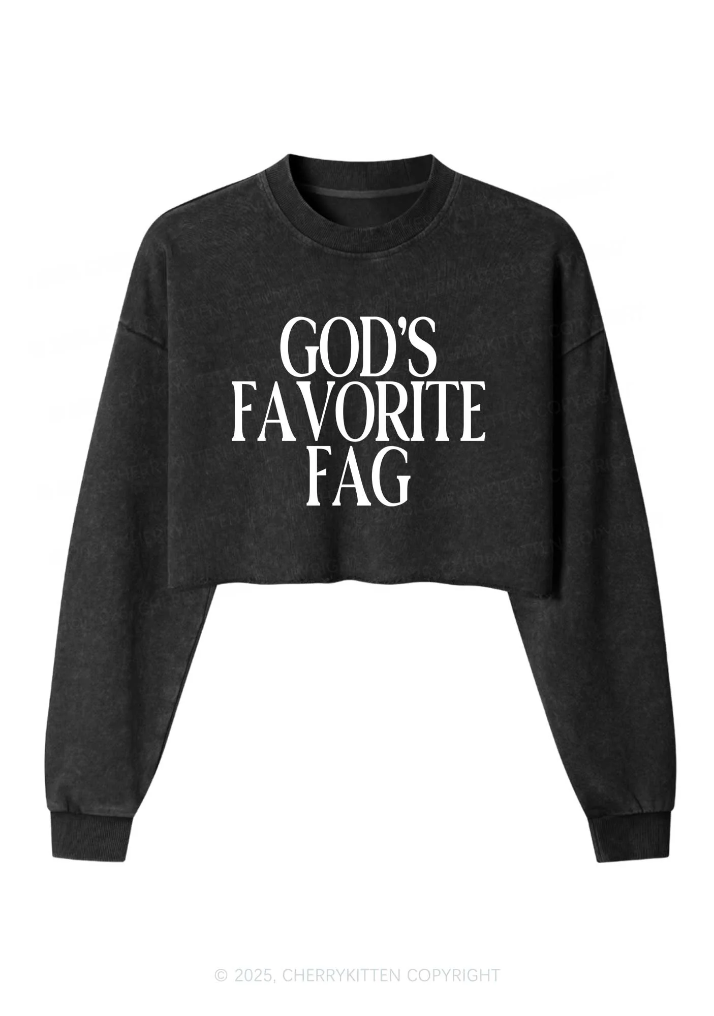 Gods Favorite Fag Pride Y2K Crop Washed Sweatshirts Cherrykitten - Image 2