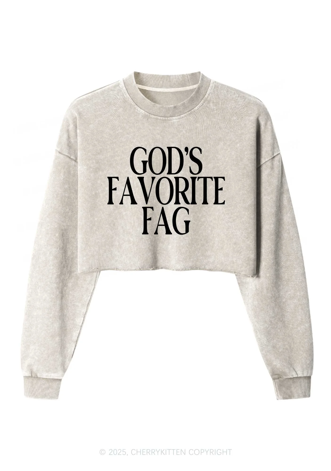 Gods Favorite Fag Pride Y2K Crop Washed Sweatshirts Cherrykitten - Image 3
