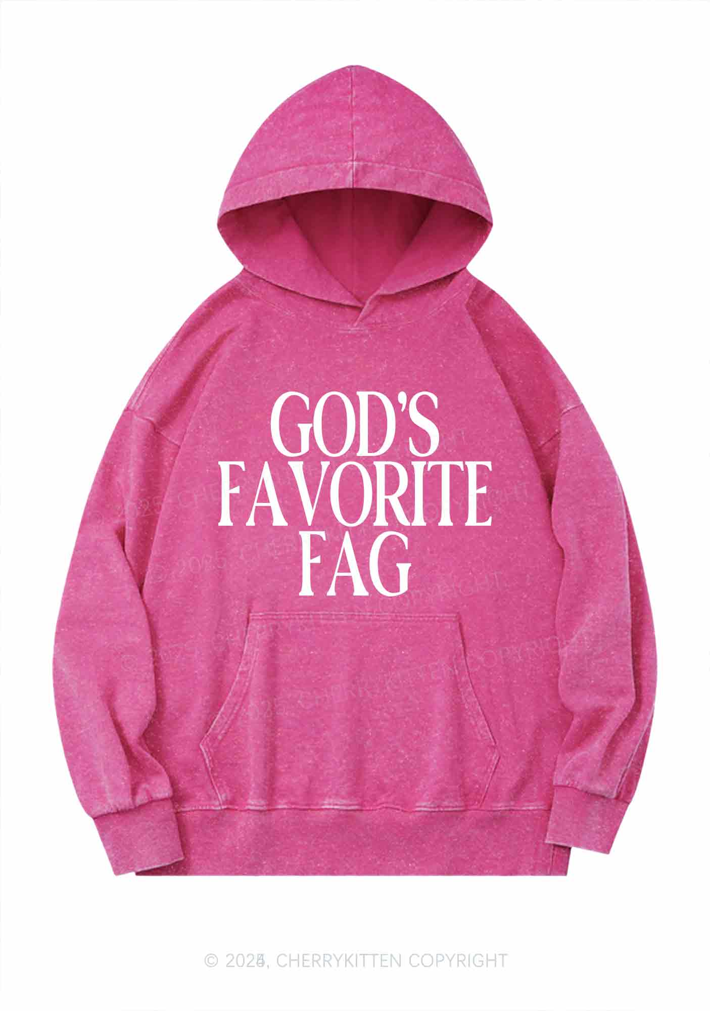Gods Favorite Fag Pride Y2K Washed Hoodie Cherrykitten - Image 5