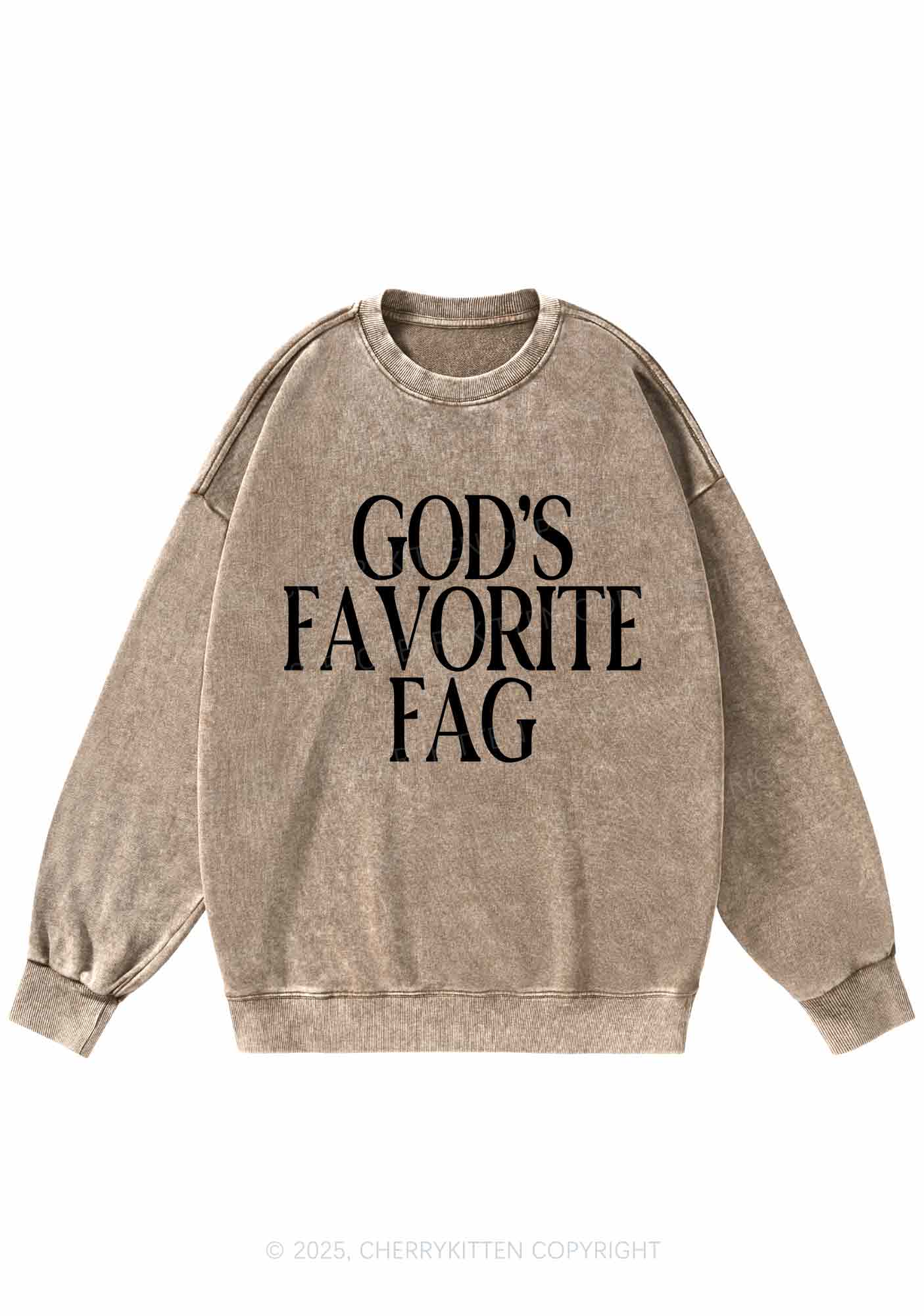 Gods Favorite Fag Pride Y2K Washed Sweatshirts Cherrykitten - Image 6