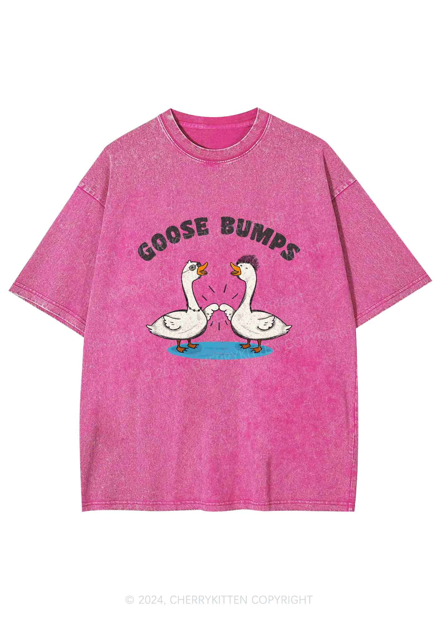 Goosebumps Duck Y2K Washed Tee Cherrykitten - Image 3