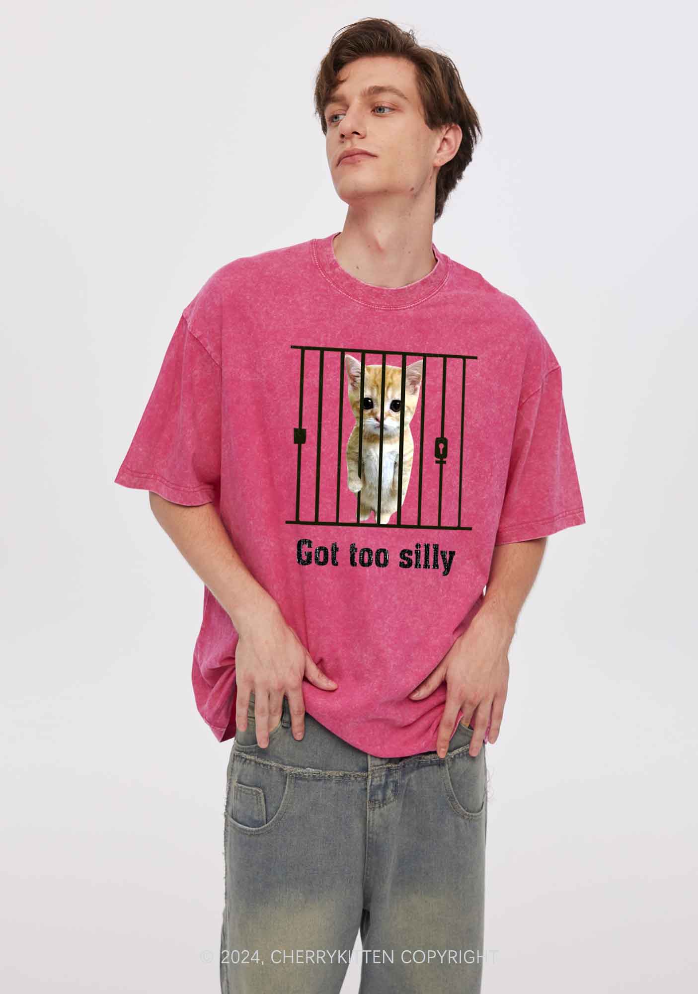 Got Too Silly Cat Y2K Washed Tee Cherrykitten - Image 2