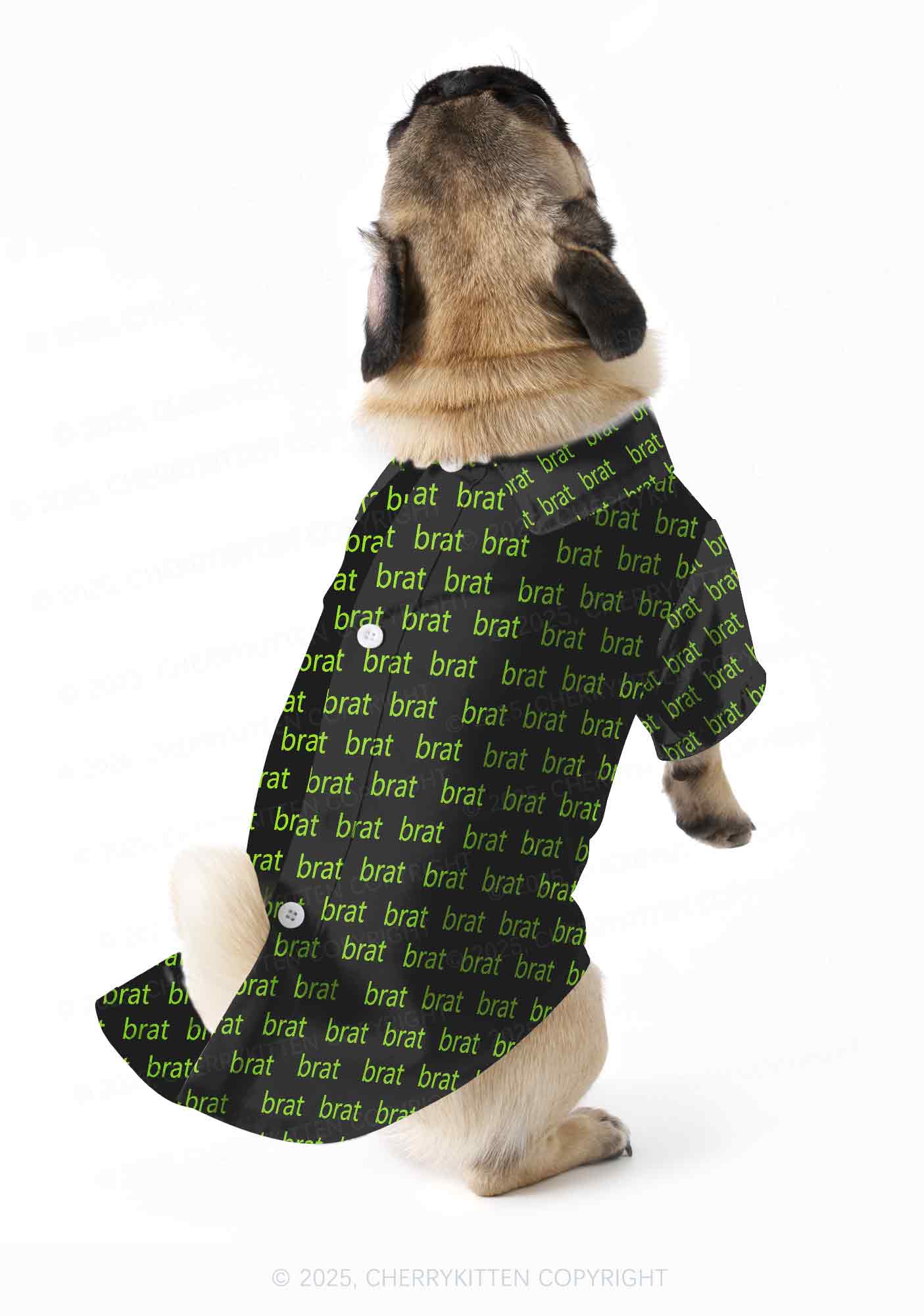 Green Brat Y2K Pet Shirts Cherrykitten - Image 2