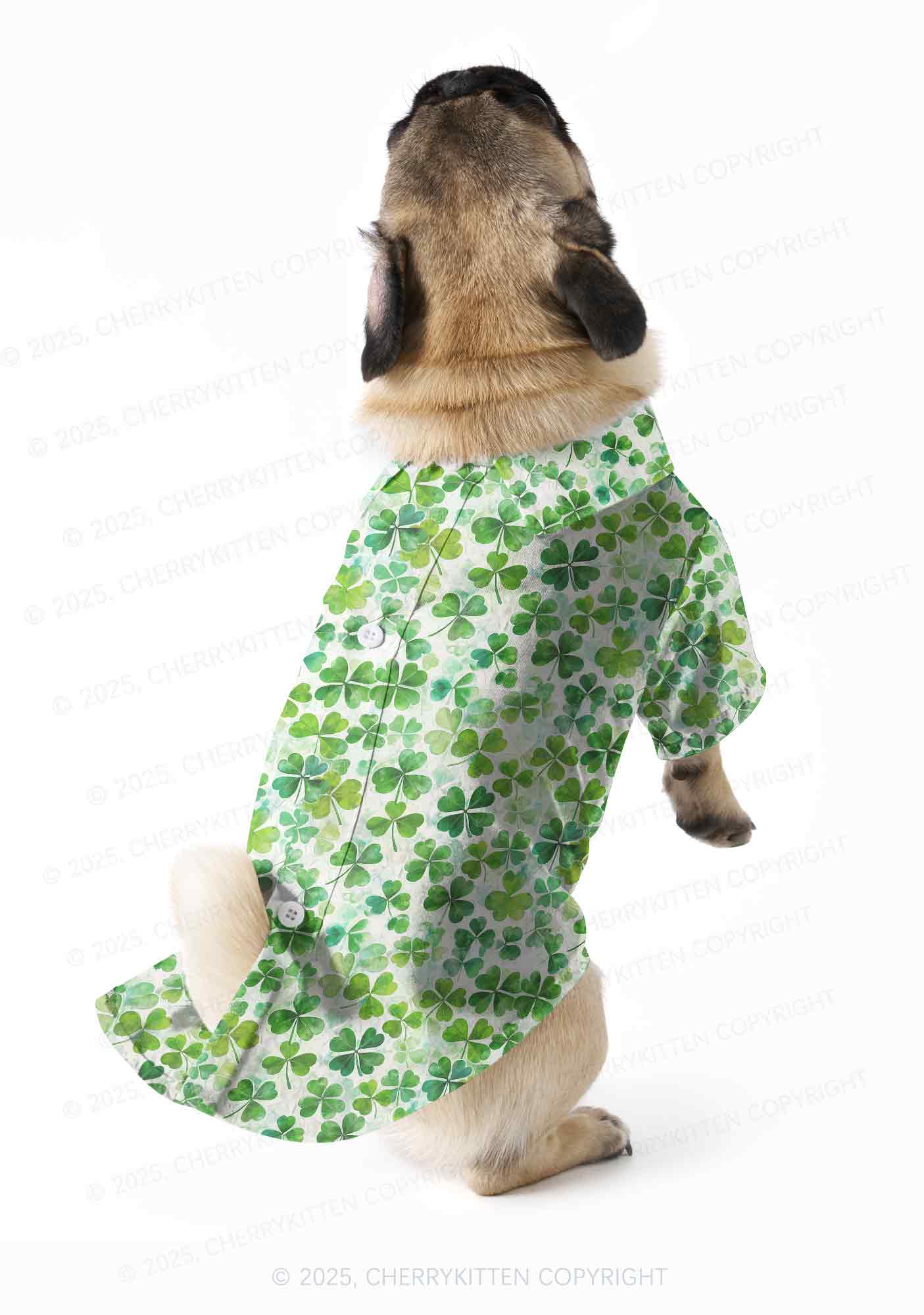 Green Shamrock Y2K Pet Shirts Cherrykitten - Image 2