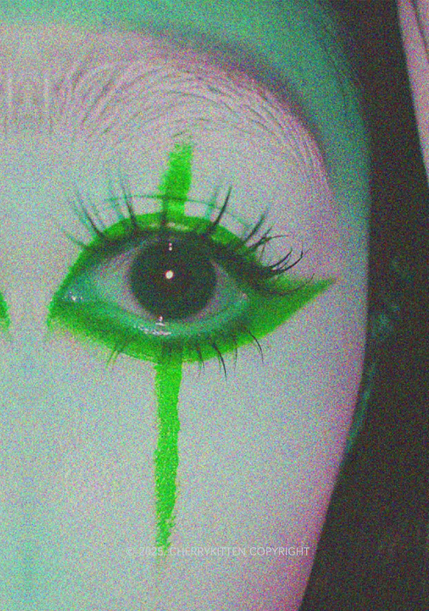 Halloween Cry Eye Y2K Mesh Crop Top Cherrykitten - Image 2