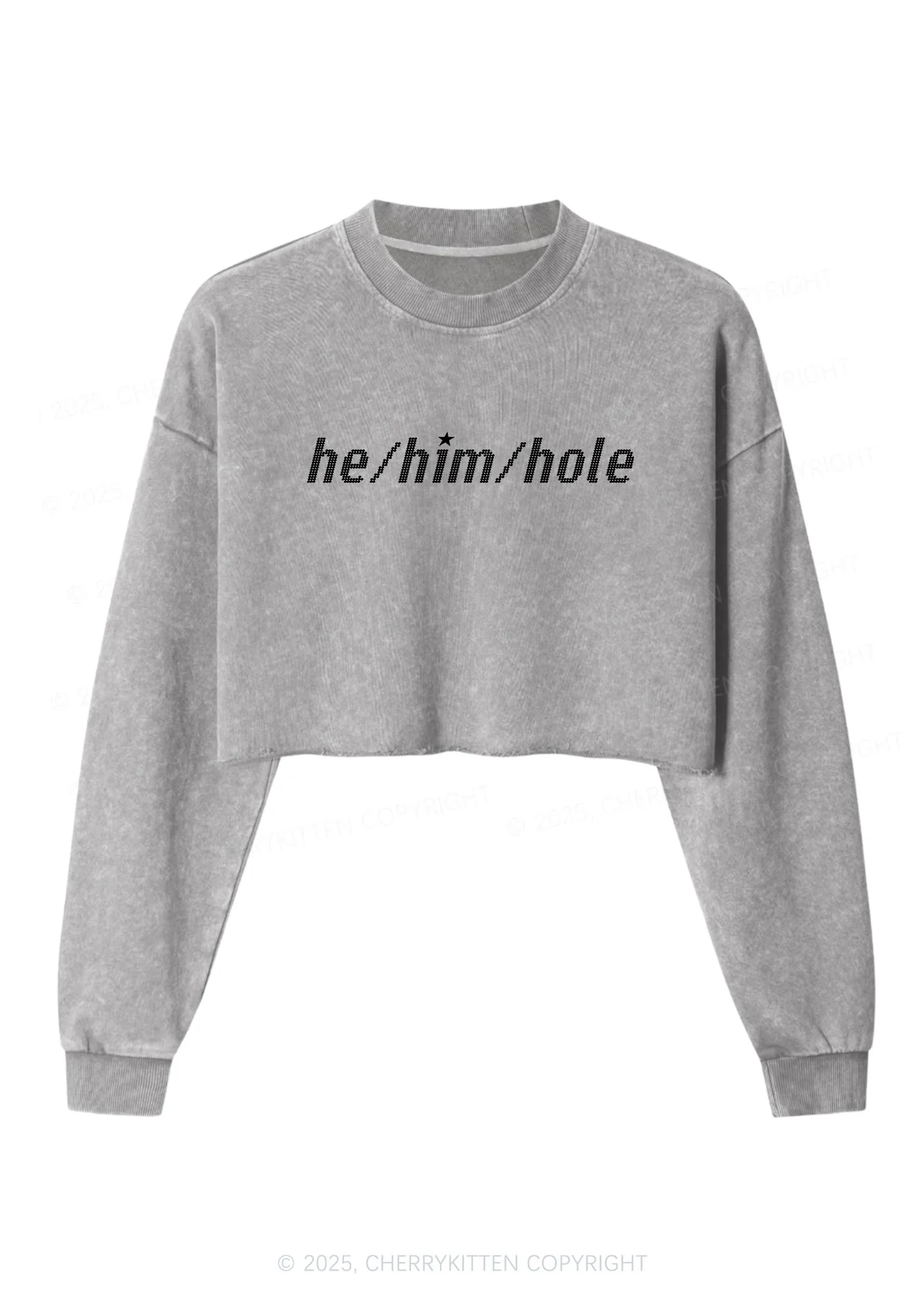 He Him Hole Pride Y2K Crop Washed Sweatshirts Cherrykitten - Image 4