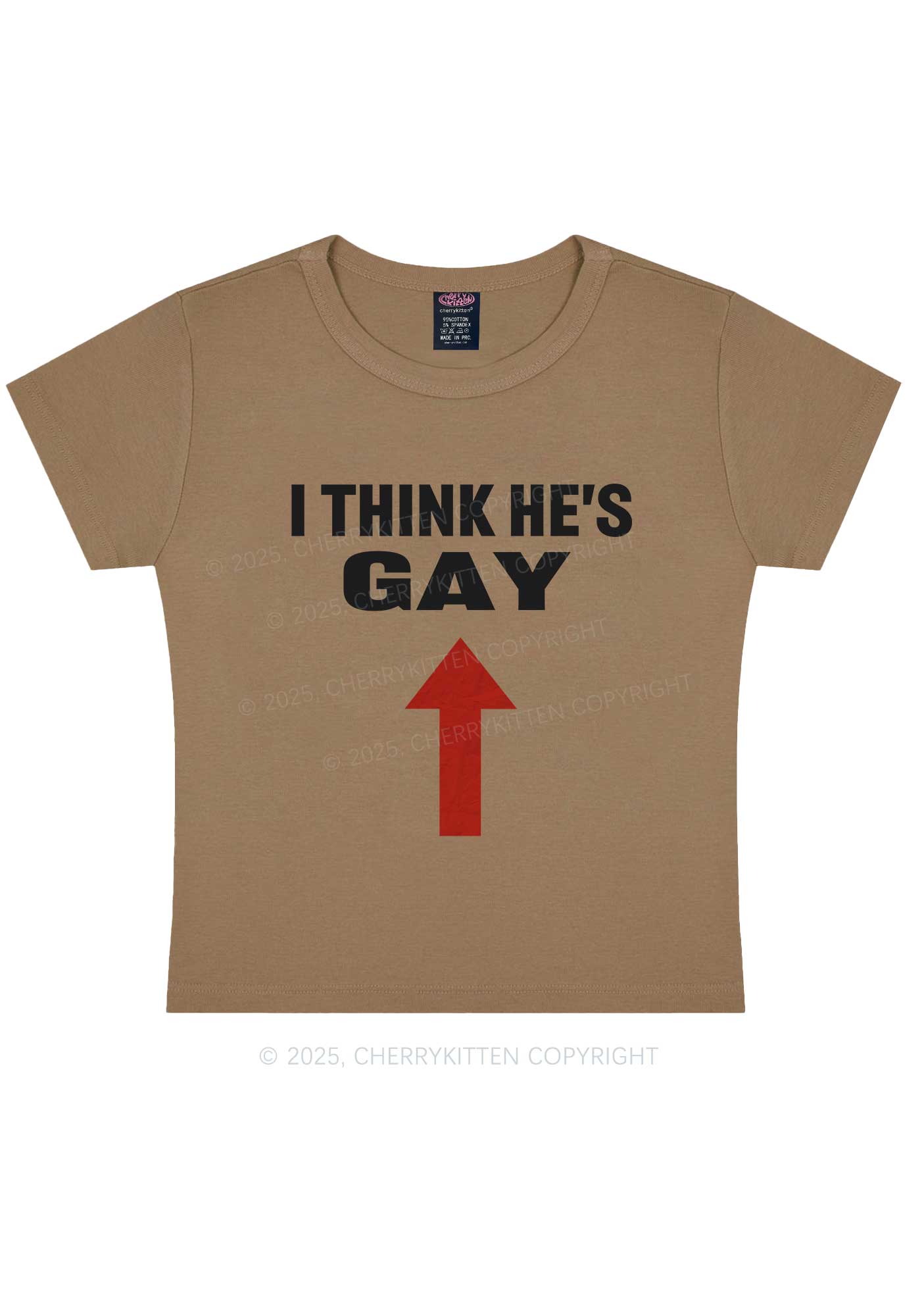 He Is Gay Y2K Baby Tee Cherrykitten - Image 10