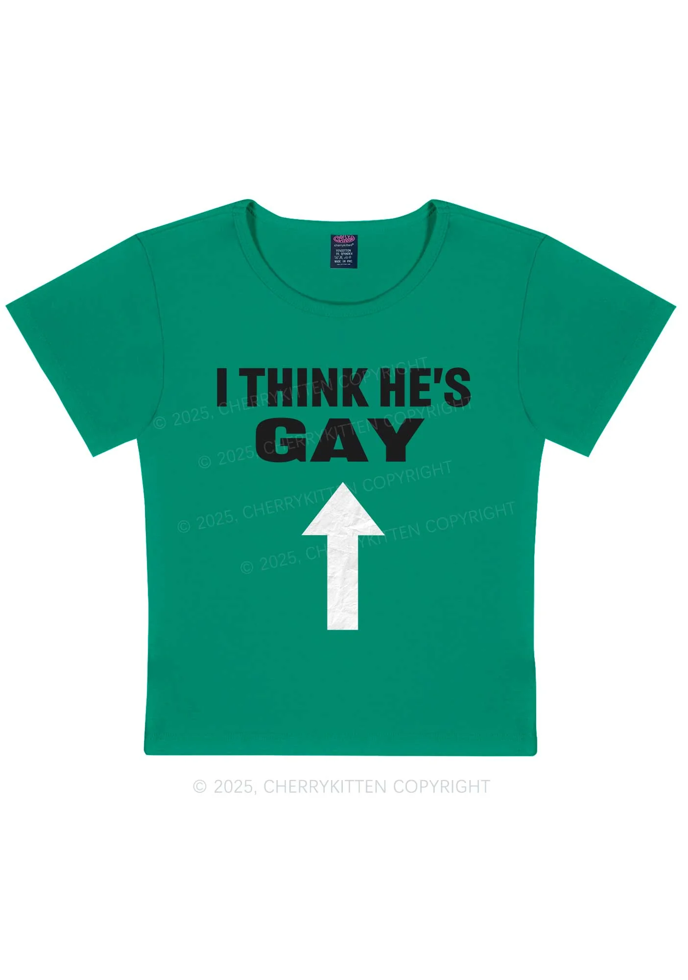 He Is Gay Y2K Baby Tee Cherrykitten - Image 13