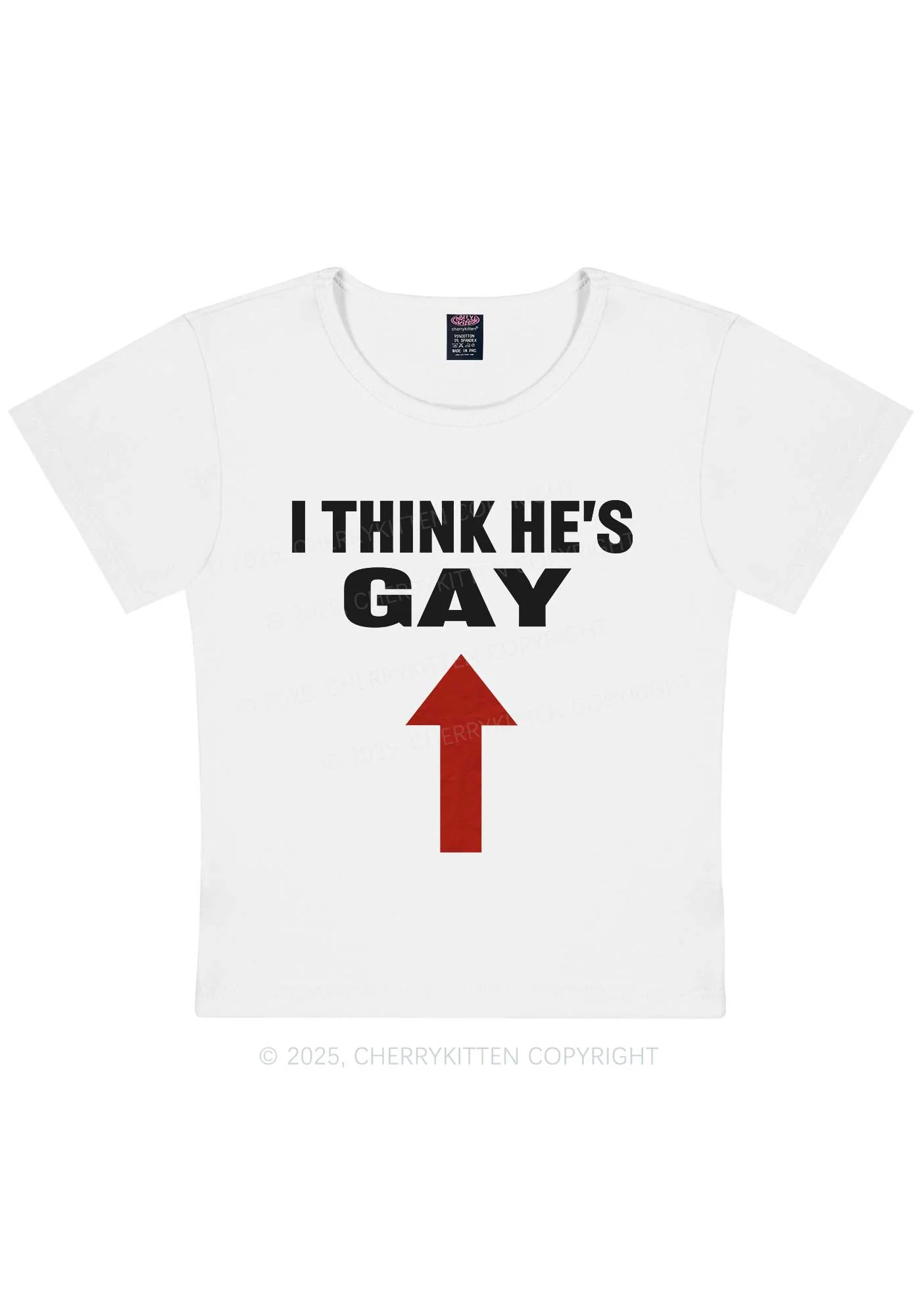 He Is Gay Y2K Baby Tee Cherrykitten - Image 4