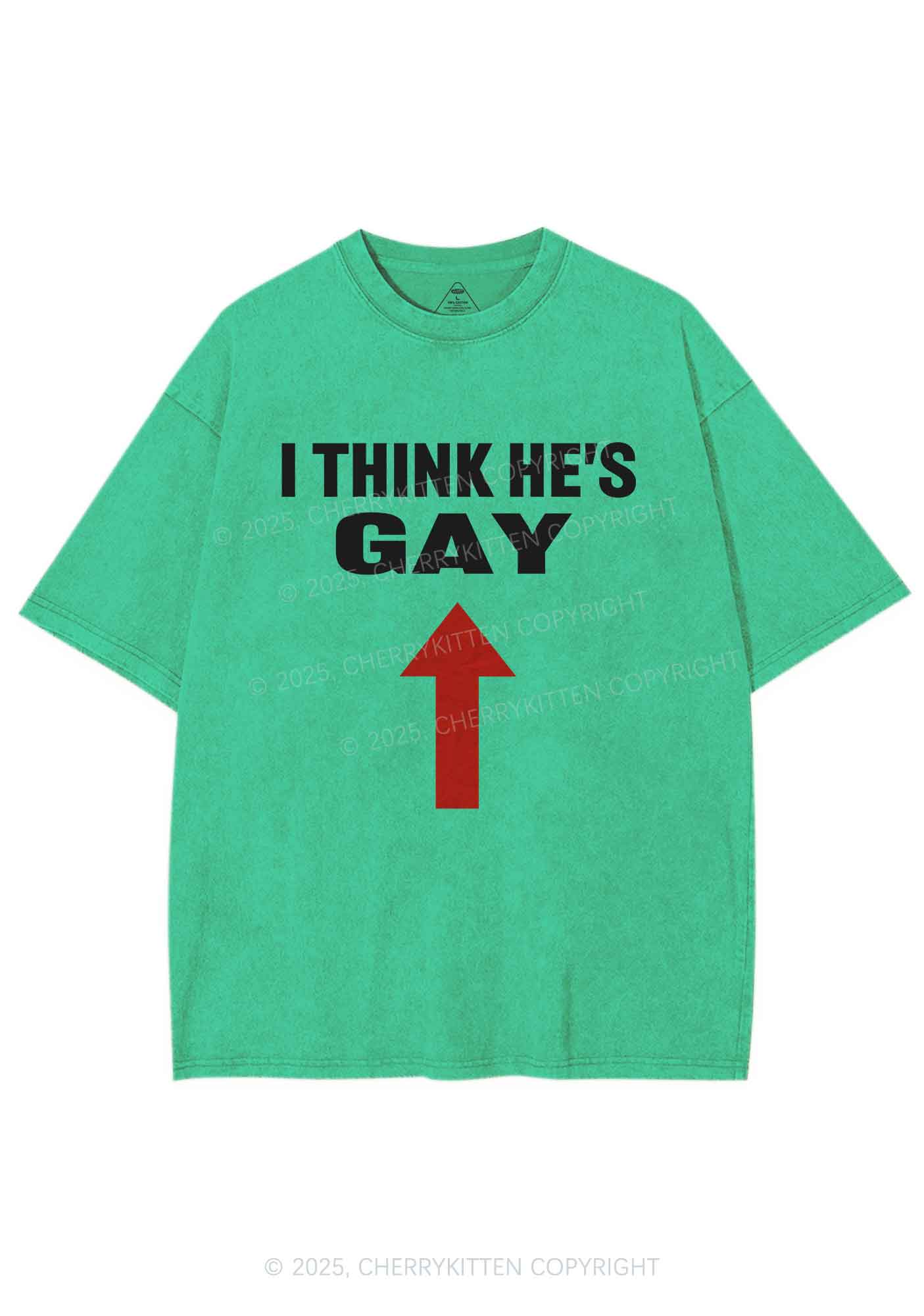 He Is Gay Y2K Shirts Washed Tee Cherrykitten - Image 8