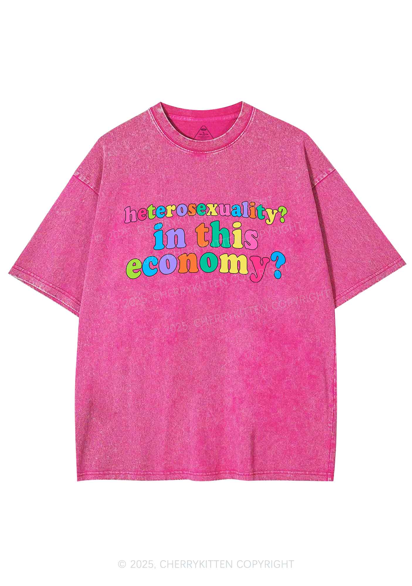 Heterosexuality In This Economy Pride Y2K Shirts Washed Tee Cherrykitten - Image 4