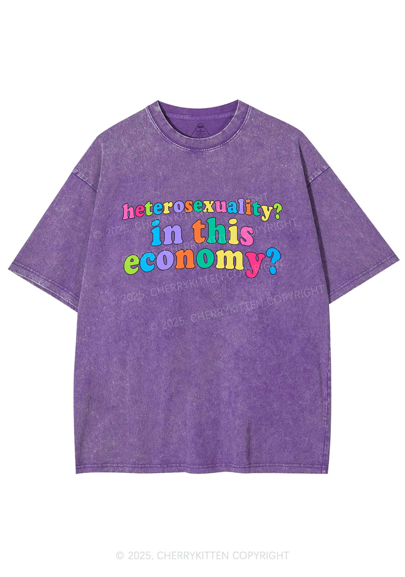Heterosexuality In This Economy Pride Y2K Shirts Washed Tee Cherrykitten - Image 5
