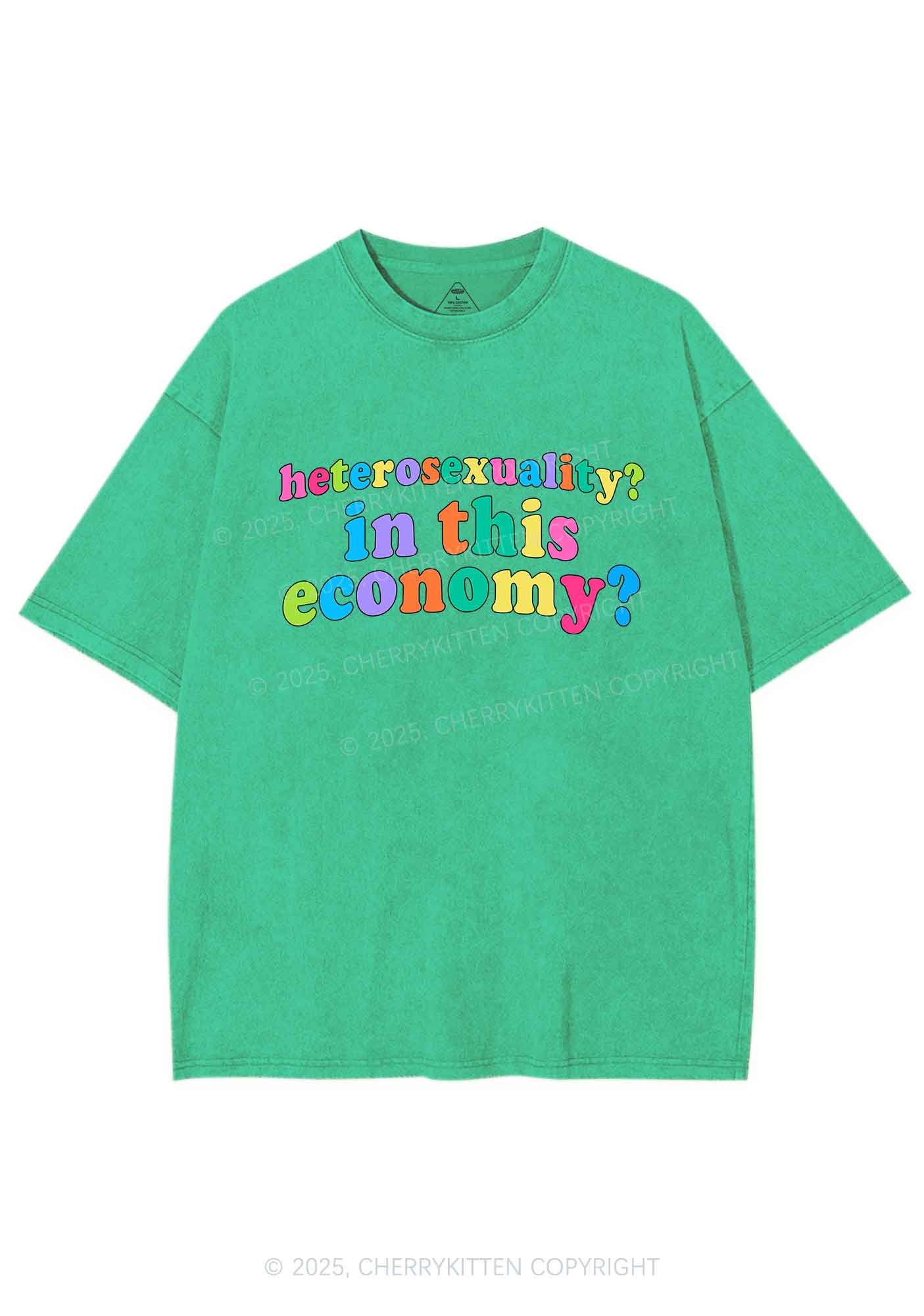 Heterosexuality In This Economy Pride Y2K Shirts Washed Tee Cherrykitten - Image 8