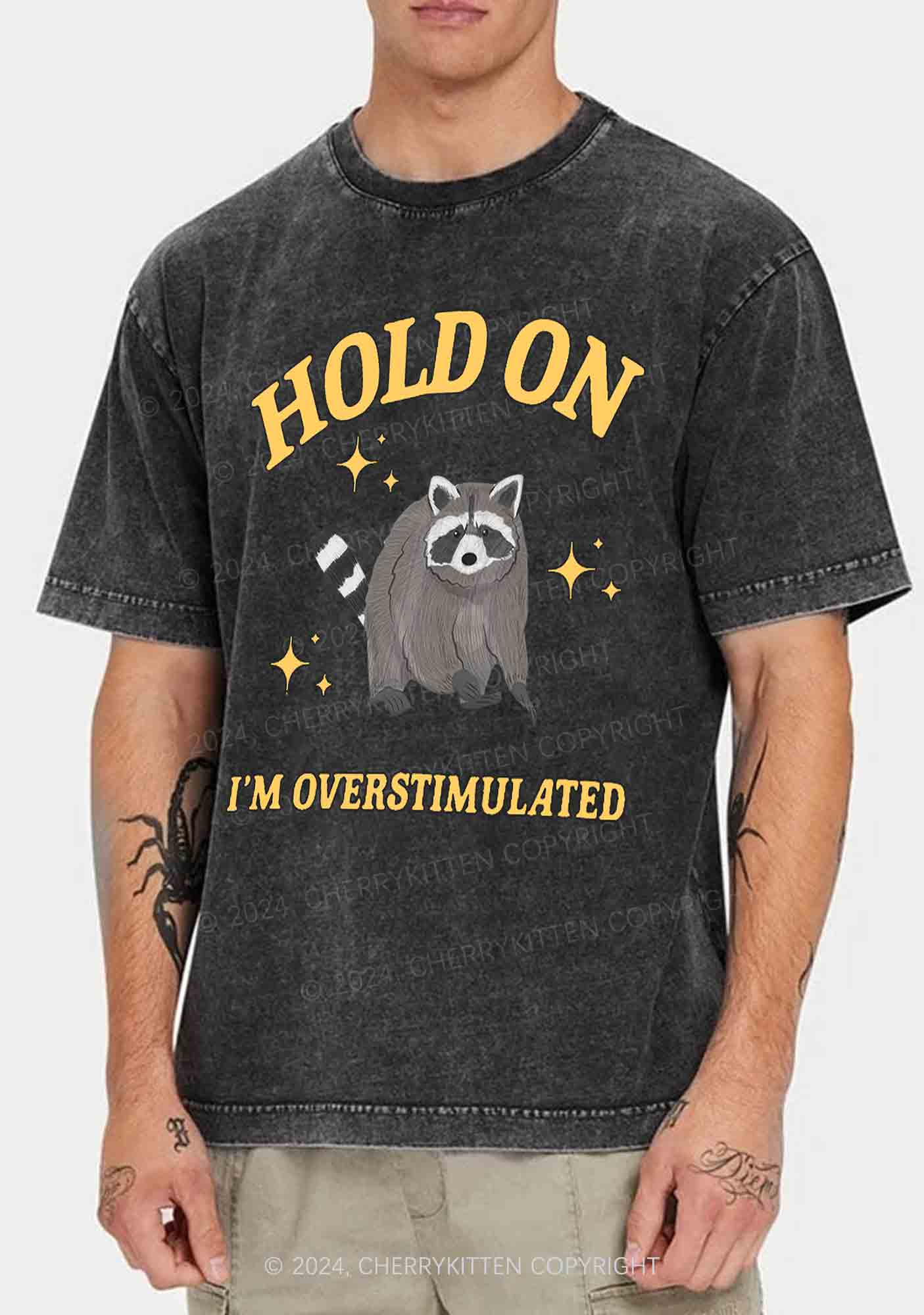 Hold On I'm Overstimulated Y2K Washed Tee Cherrykitten - Image 2