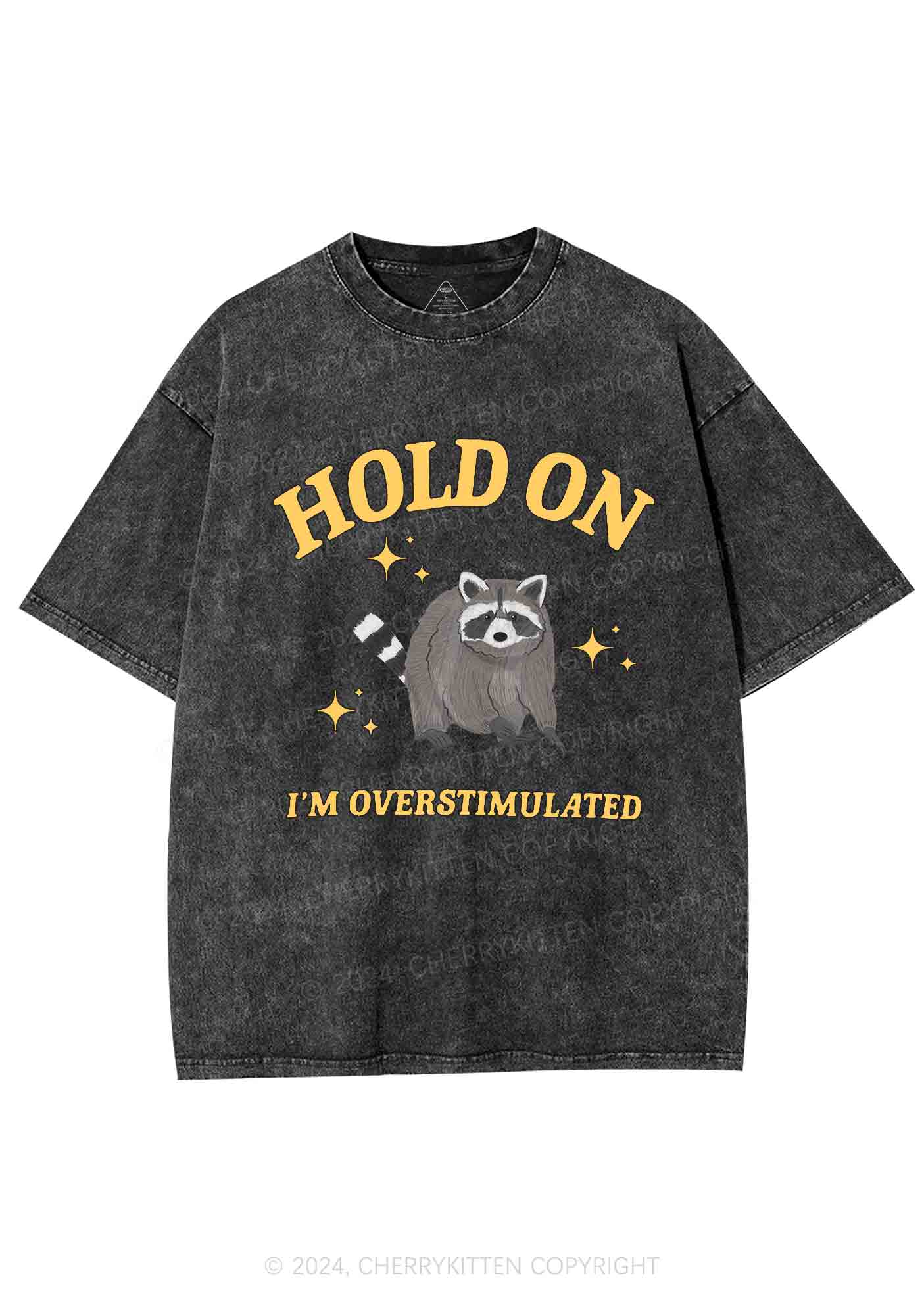 Hold On I'm Overstimulated Y2K Washed Tee Cherrykitten - Image 3
