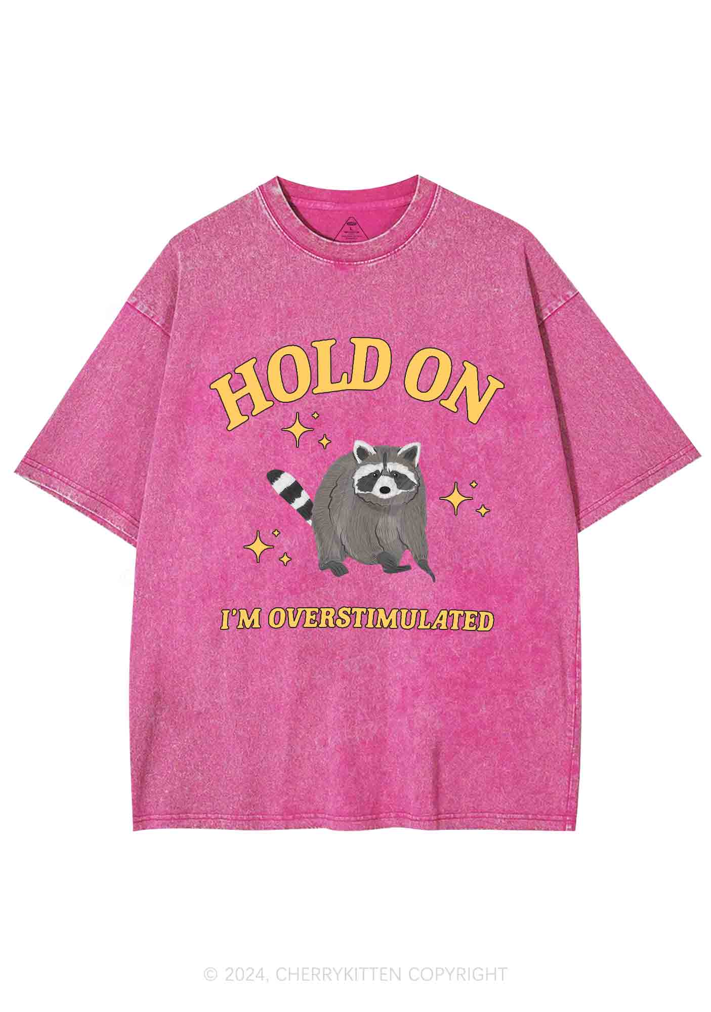 Hold On I'm Overstimulated Y2K Washed Tee Cherrykitten - Image 4