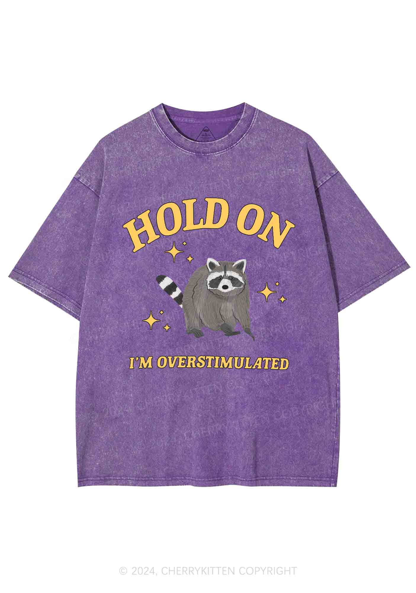 Hold On I'm Overstimulated Y2K Washed Tee Cherrykitten - Image 5
