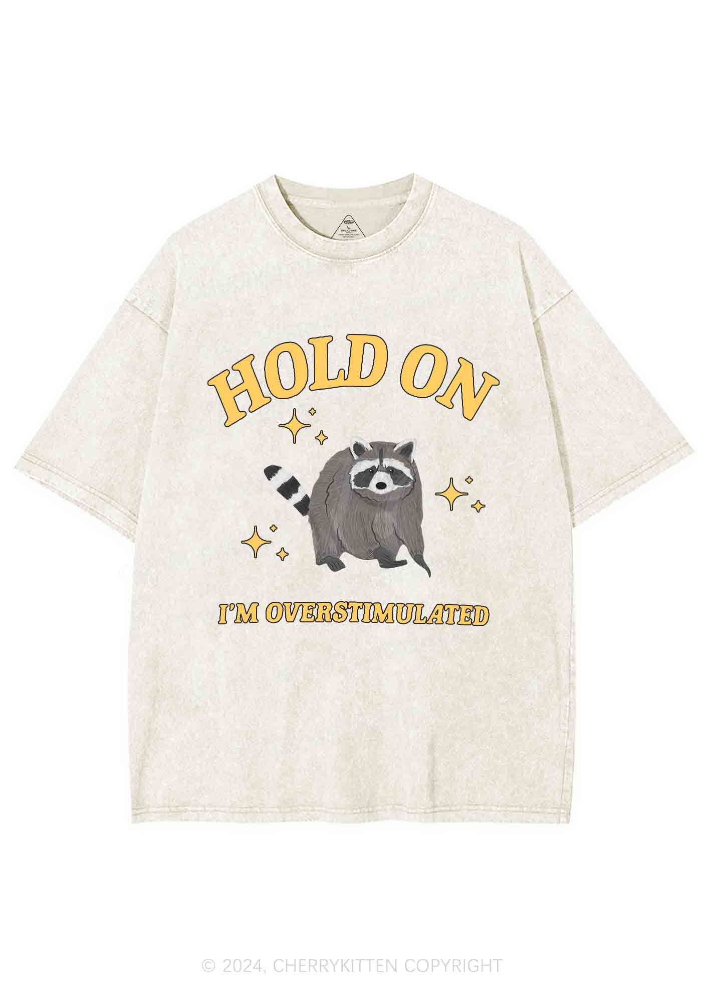 Hold On I'm Overstimulated Y2K Washed Tee Cherrykitten - Image 6