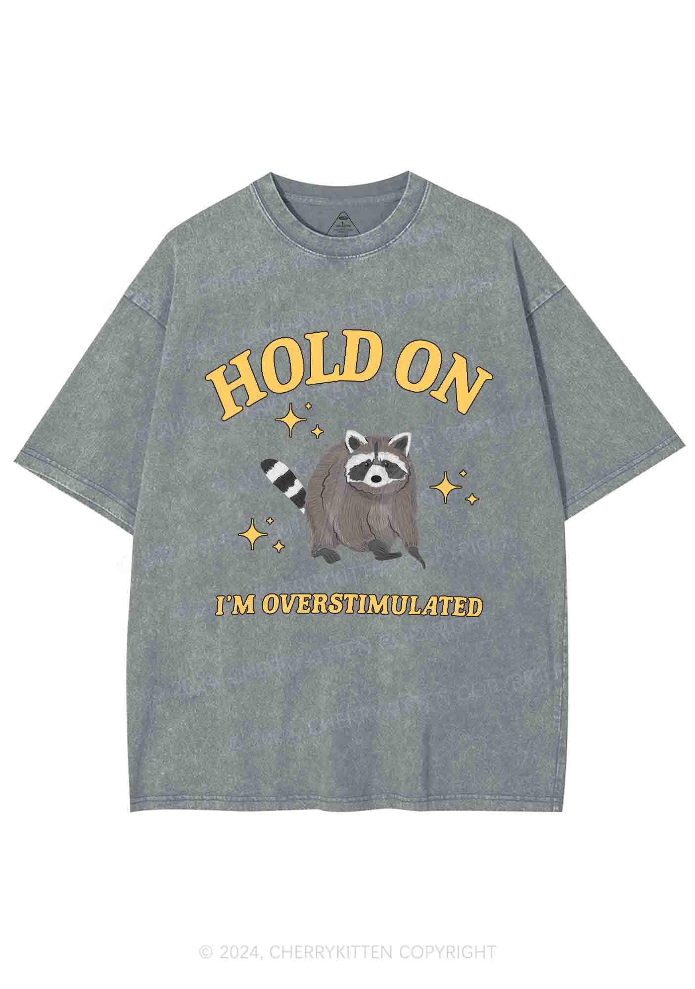 Hold On I'm Overstimulated Y2K Washed Tee Cherrykitten - Image 7