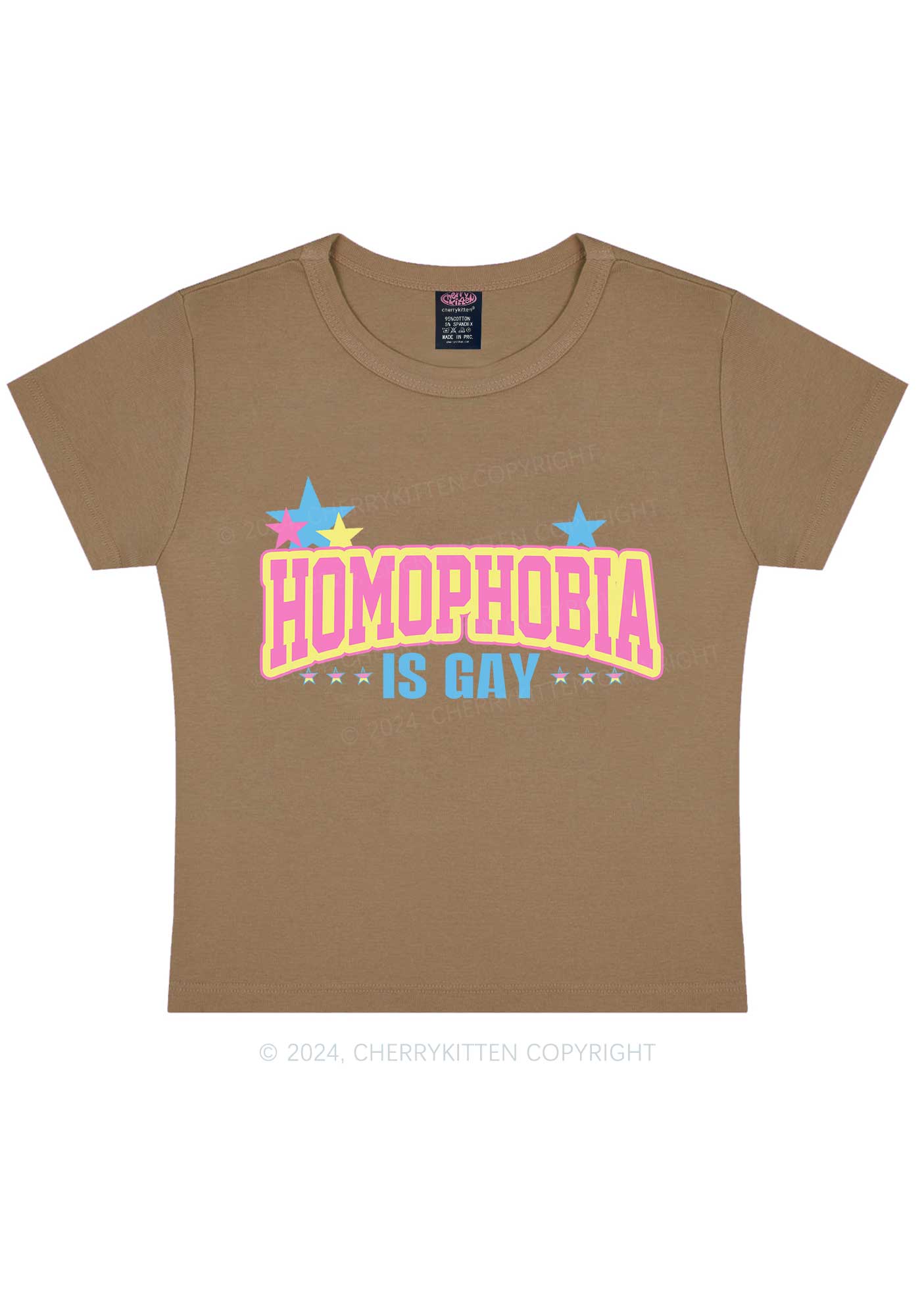 Homophobia Is Gay Y2K Baby Tee Cherrykitten - Image 11