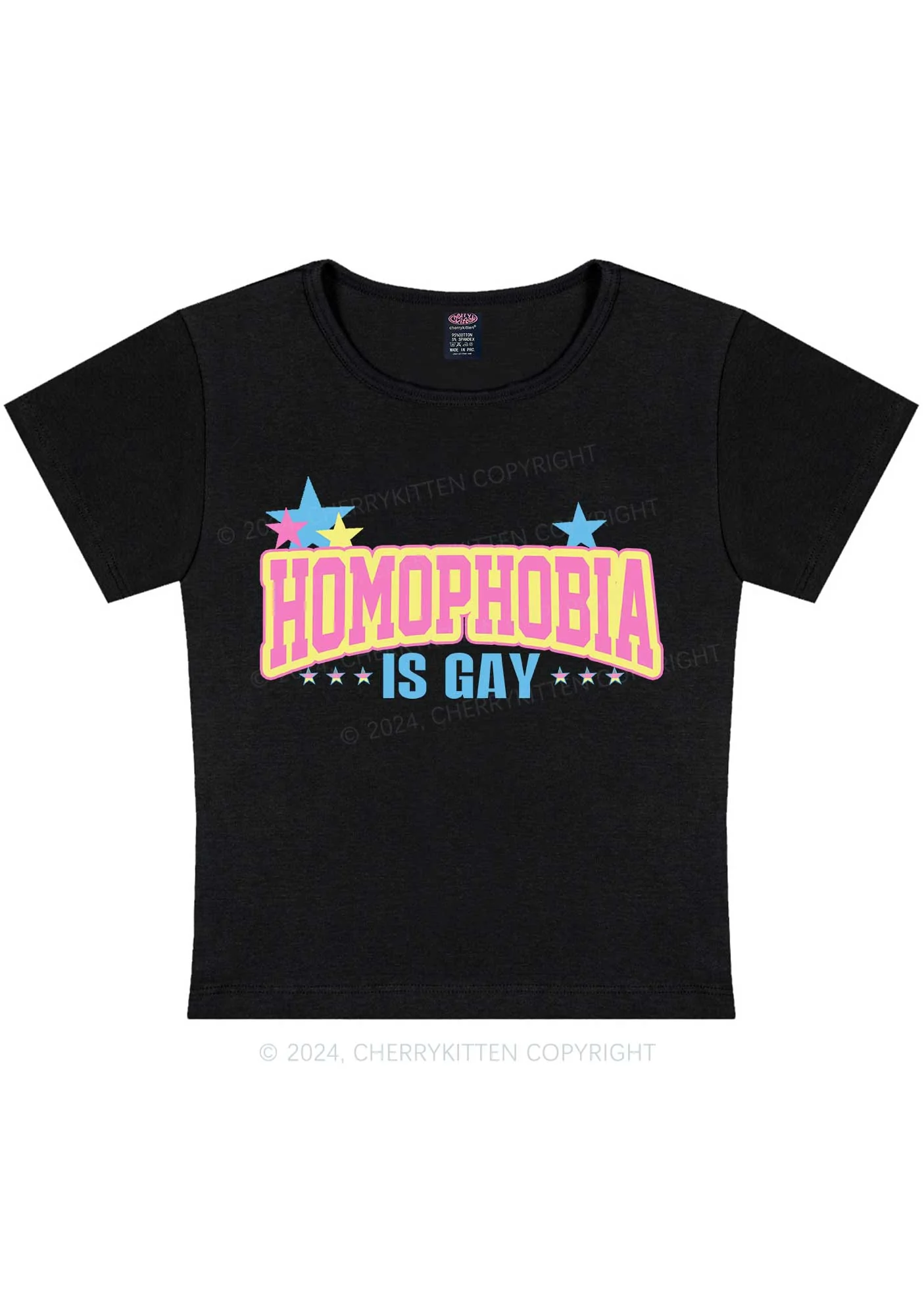 Homophobia Is Gay Y2K Baby Tee Cherrykitten - Image 2