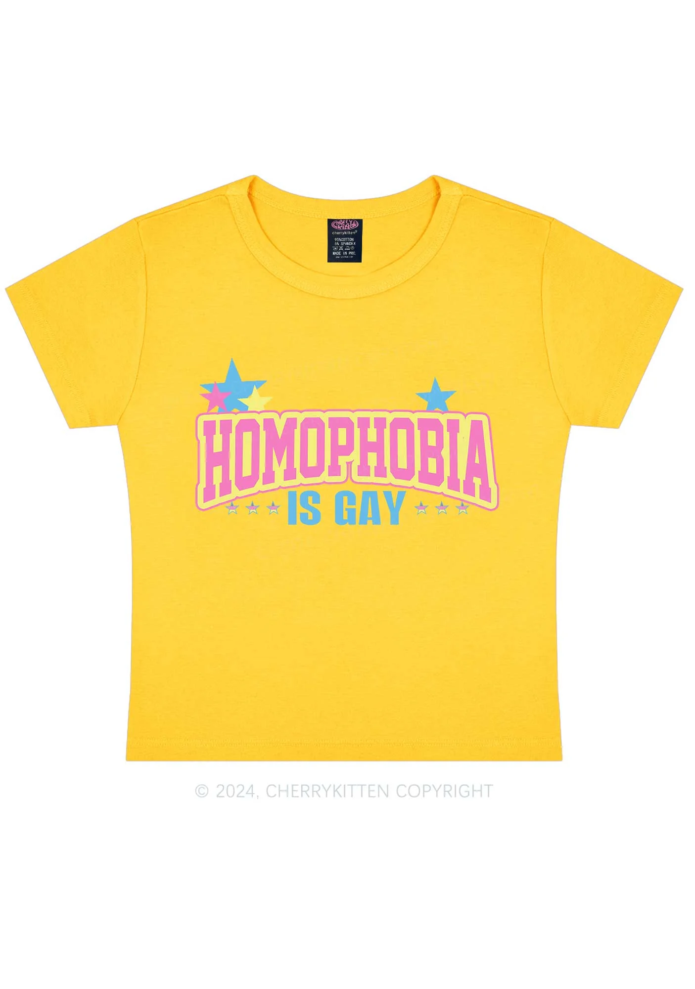 Homophobia Is Gay Y2K Baby Tee Cherrykitten - Image 9