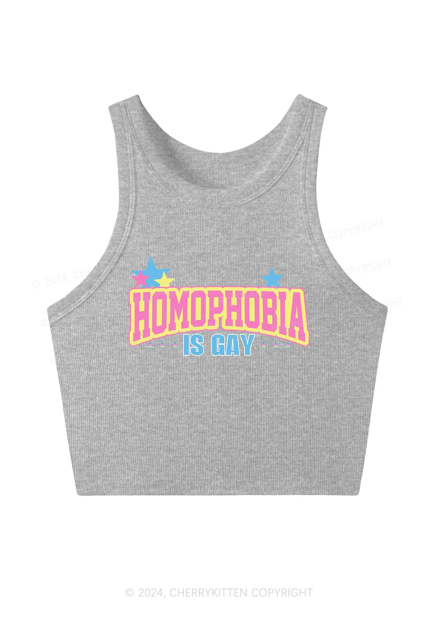 Homophobia Is Gay Y2K Crop Tank Top Cherrykitten - Image 3
