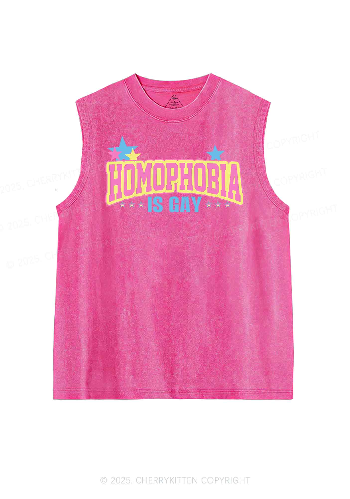 Homophobia Is Gay Y2K Washed Tank Cherrykitten - Image 3