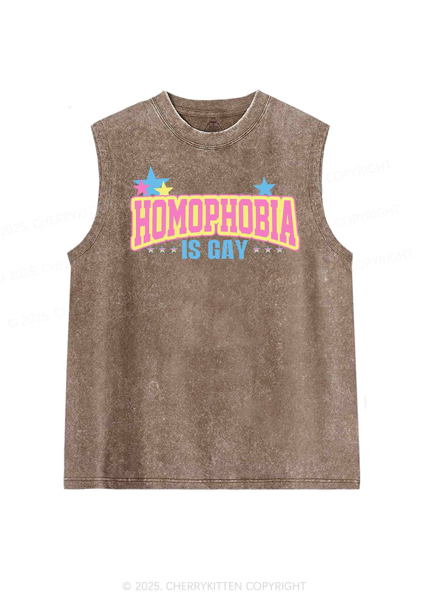 Homophobia Is Gay Y2K Washed Tank Cherrykitten - Image 6