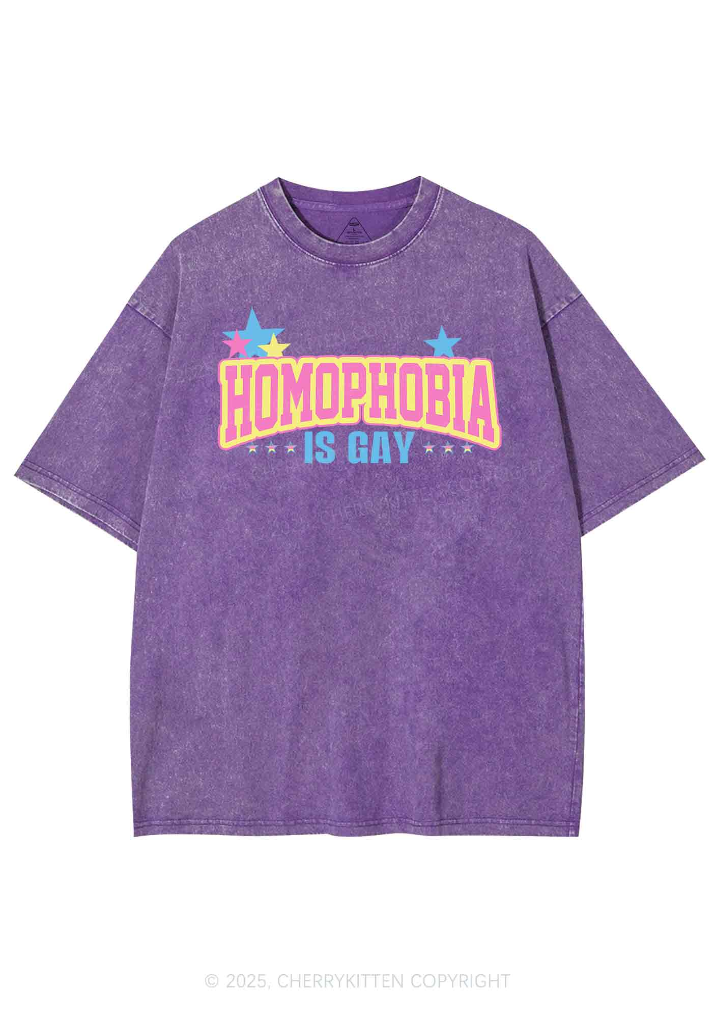 Homophobia Is Gay Y2K Washed Tee Cherrykitten - Image 4