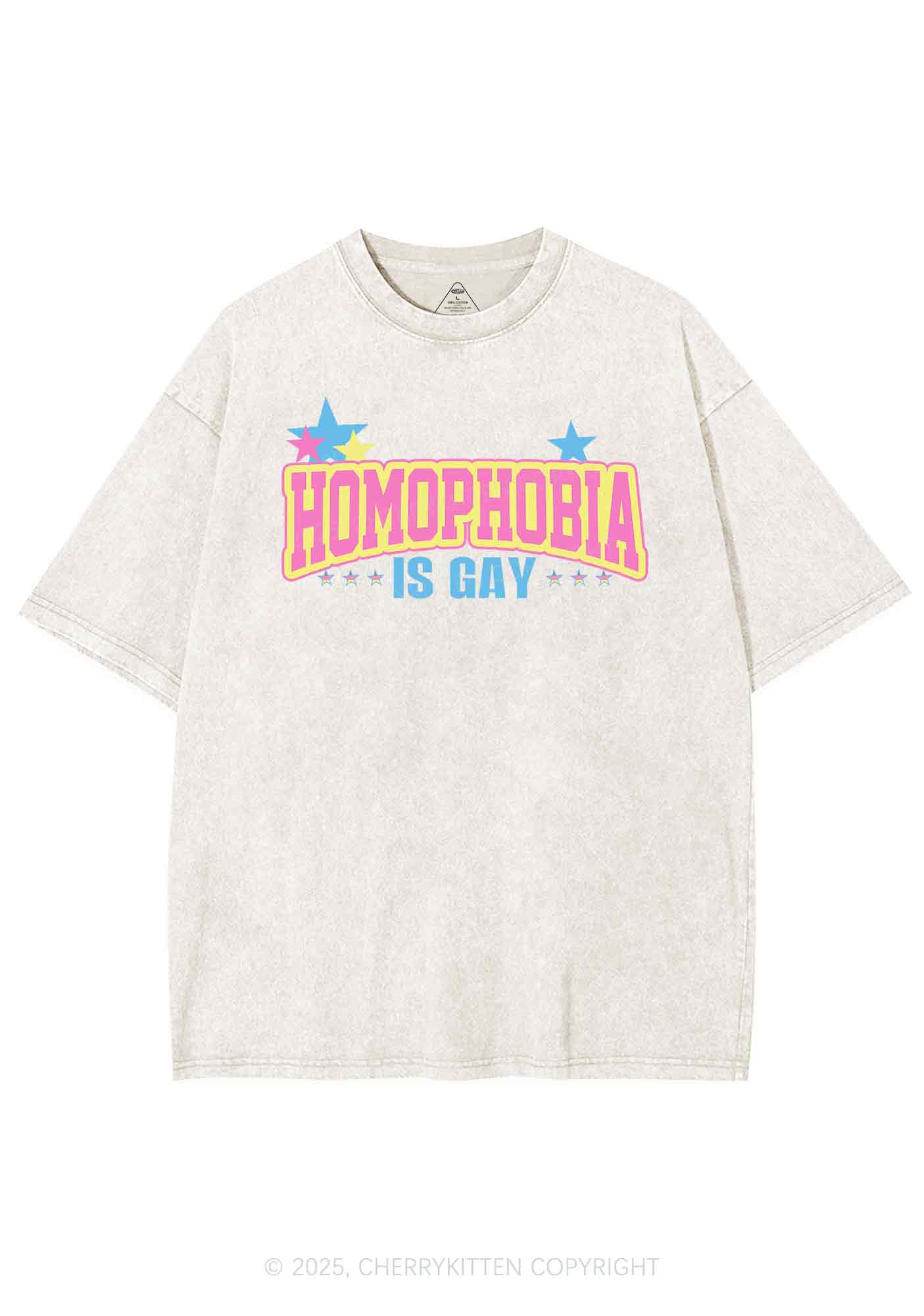 Homophobia Is Gay Y2K Washed Tee Cherrykitten - Image 5