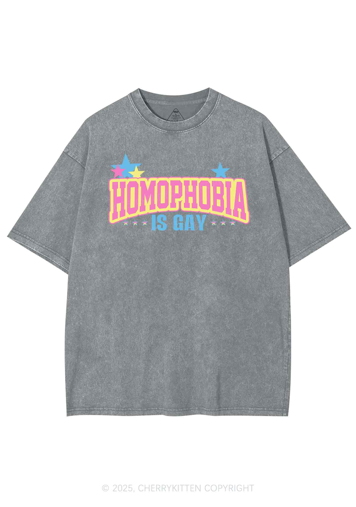 Homophobia Is Gay Y2K Washed Tee Cherrykitten - Image 6