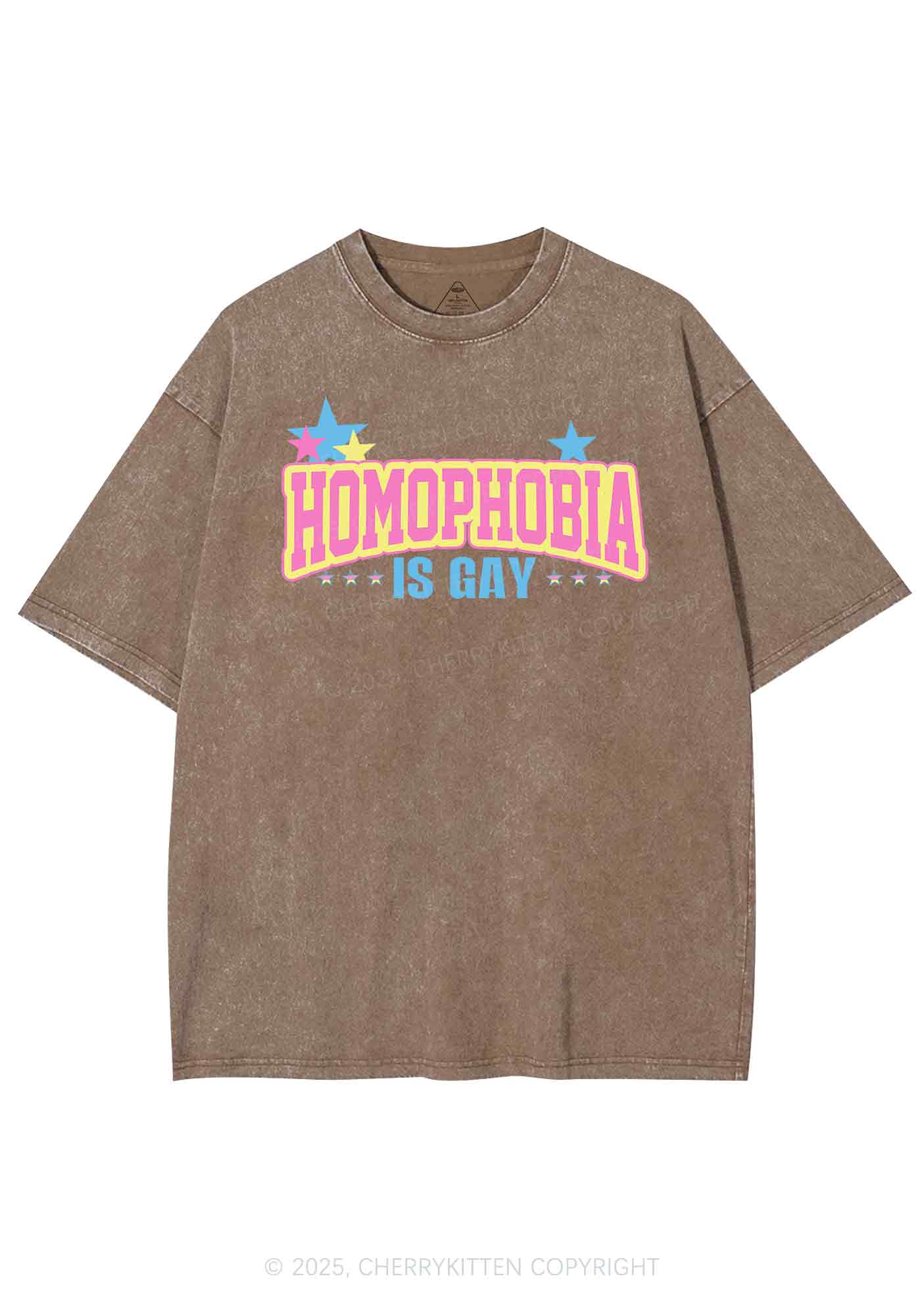 Homophobia Is Gay Y2K Washed Tee Cherrykitten - Image 7