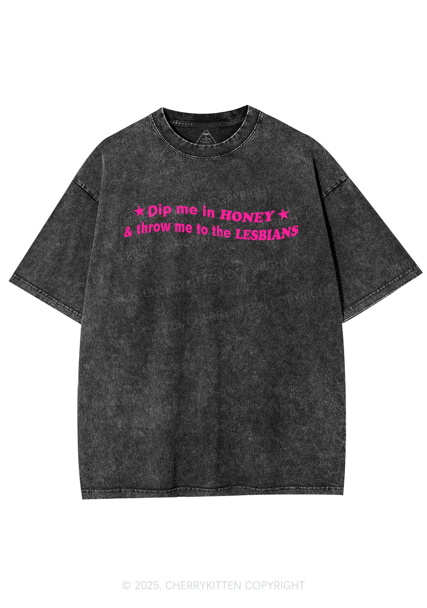 Honey Lesbians Pride Y2K Shirts Washed Tee Cherrykitten - Image 3
