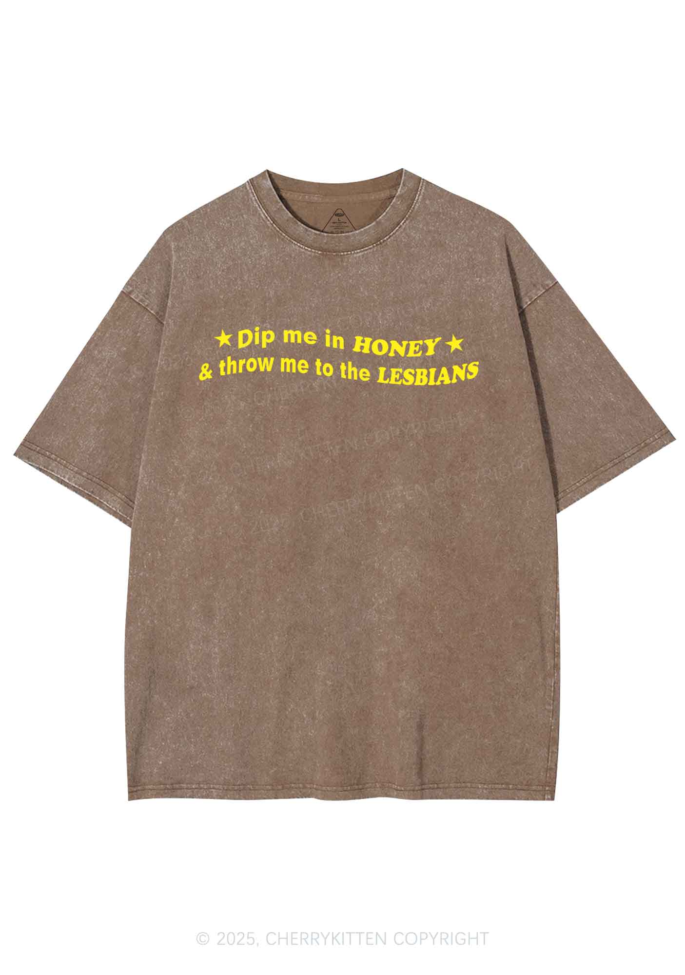 Honey Lesbians Pride Y2K Shirts Washed Tee Cherrykitten - Image 6