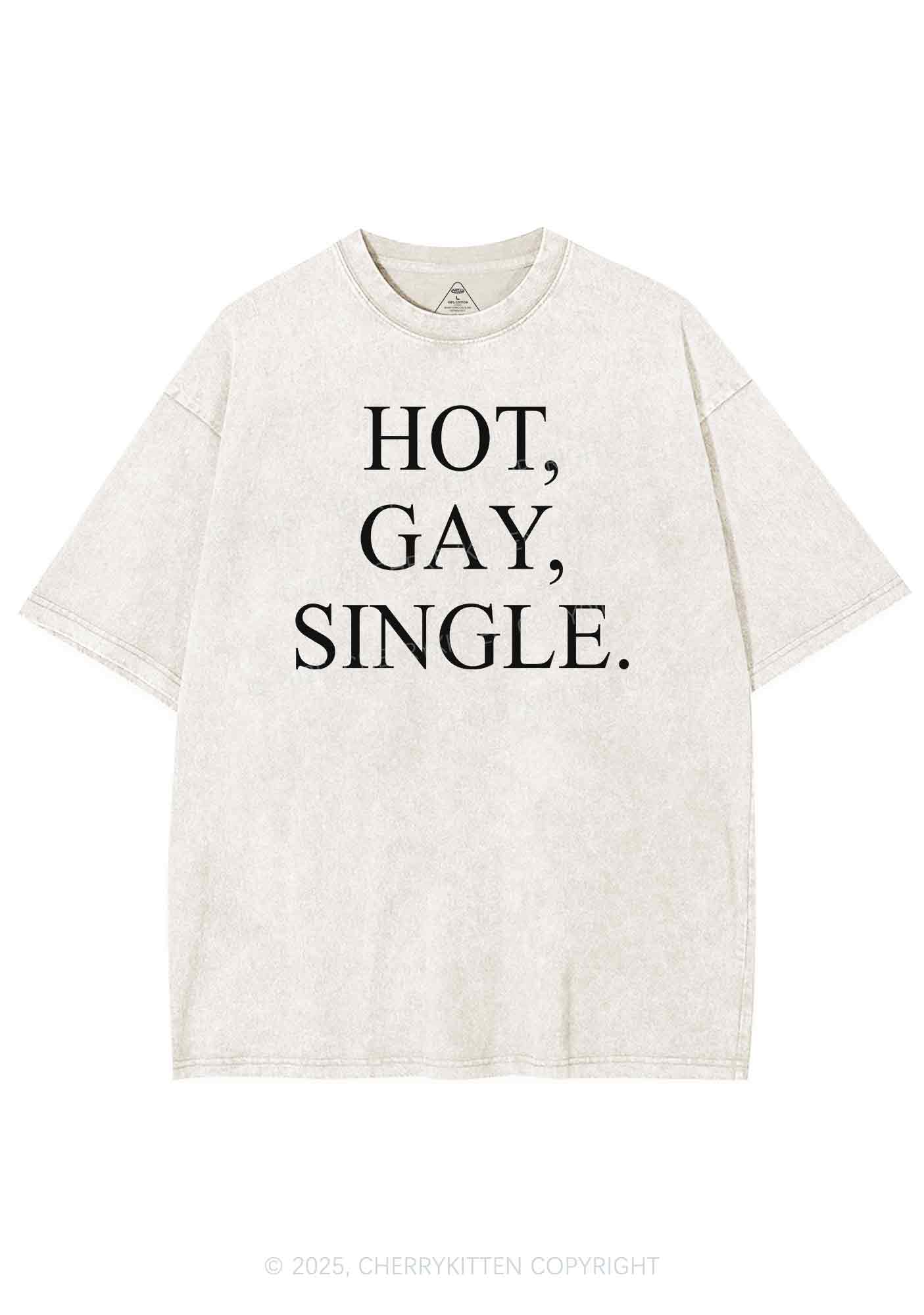 Hot Gay Single Pride Y2K Shirts Washed Tee Cherrykitten - Image 3