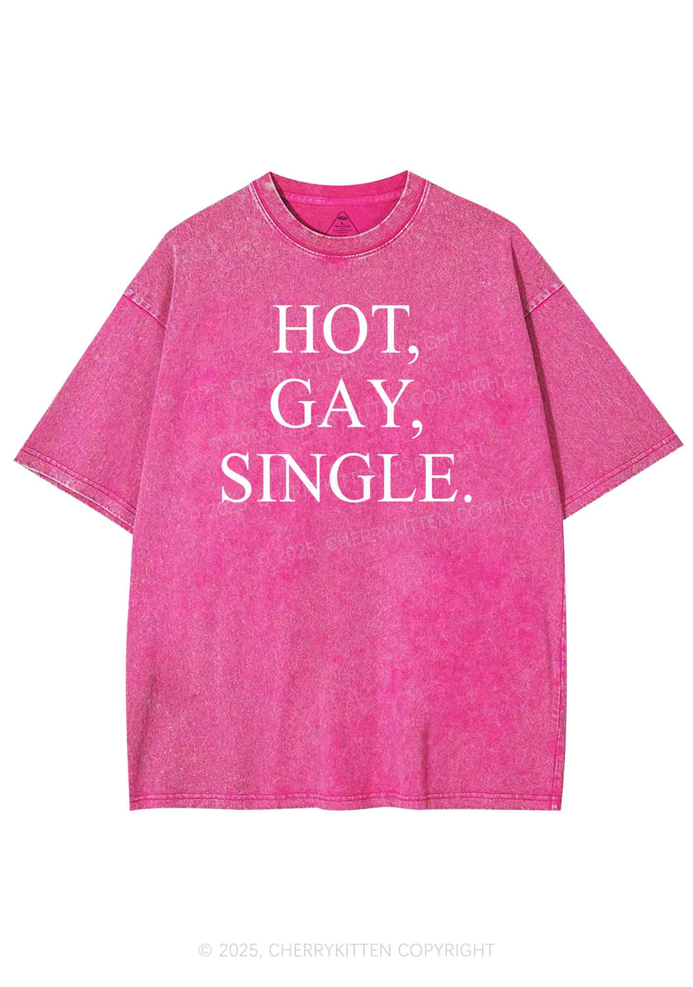 Hot Gay Single Pride Y2K Shirts Washed Tee Cherrykitten - Image 4