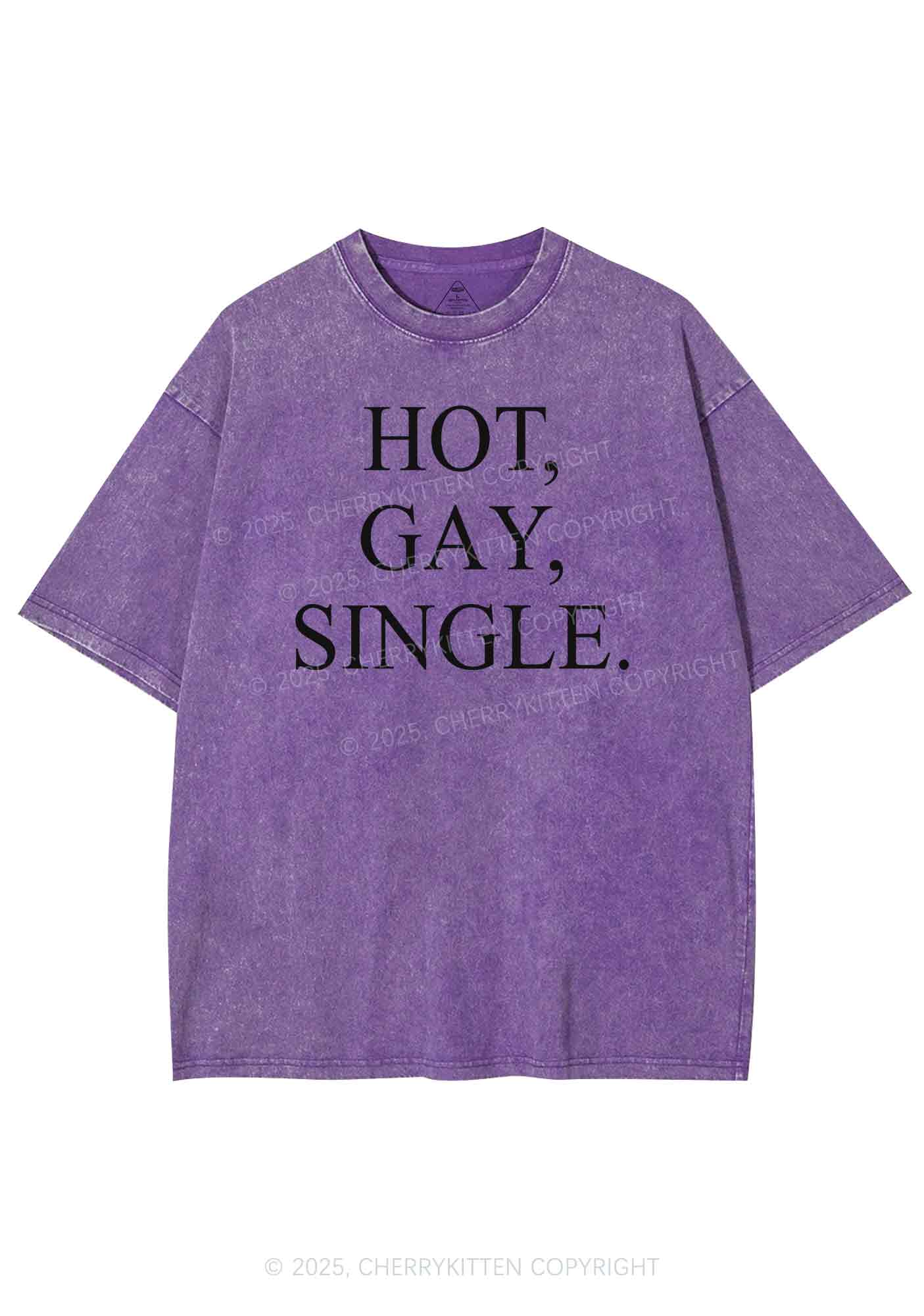 Hot Gay Single Pride Y2K Shirts Washed Tee Cherrykitten - Image 5