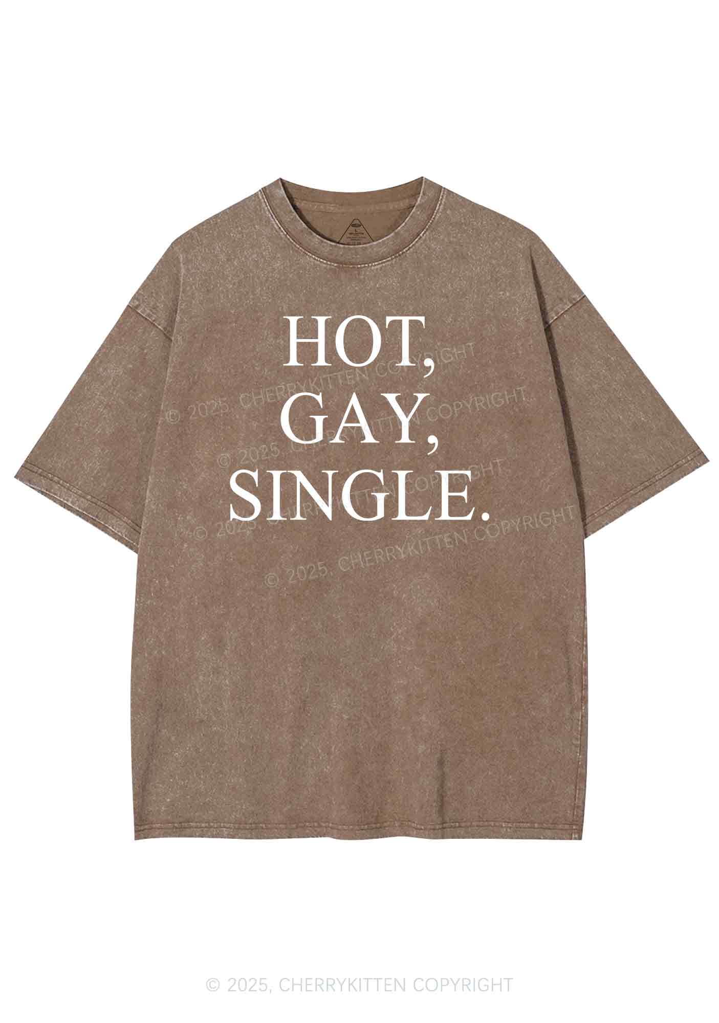 Hot Gay Single Pride Y2K Shirts Washed Tee Cherrykitten - Image 6